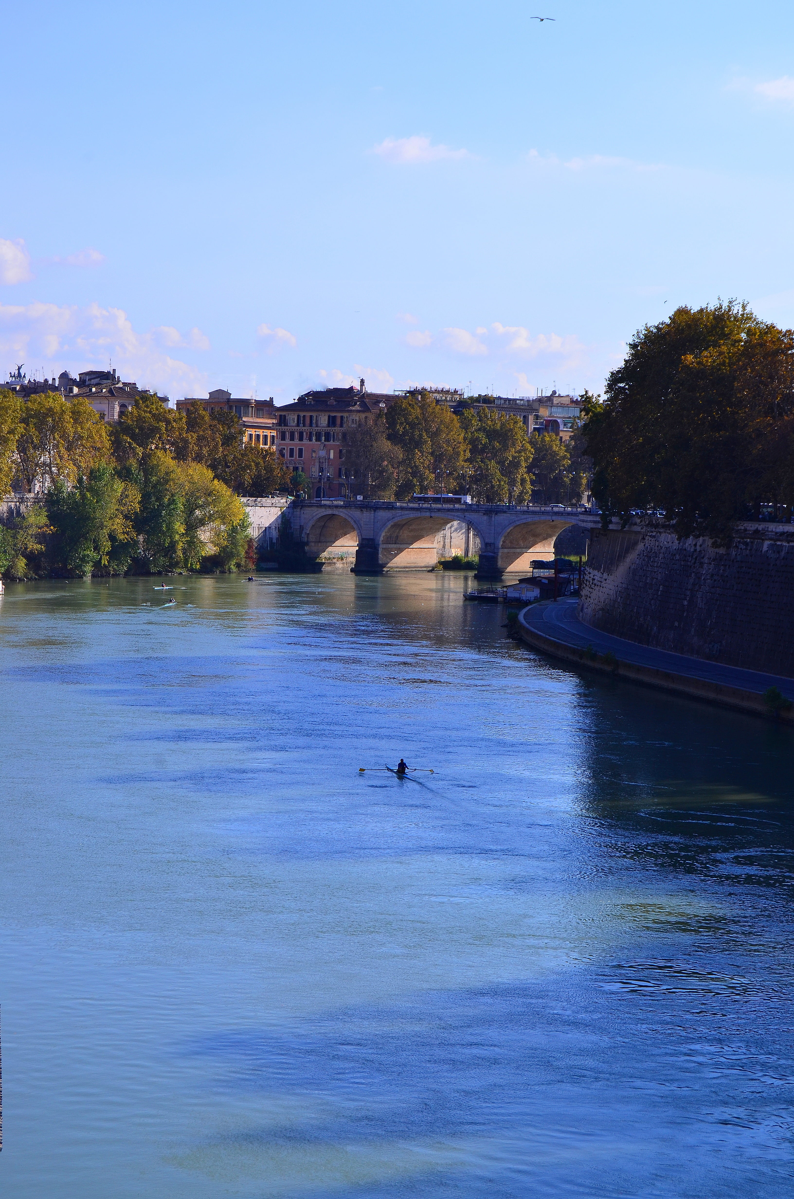 waterfront, nature, boat, vertebrate, connection, animal themes, 4K, greens, tiber, flowing water, arch bridge, the boatman, tree, animals in the wild, Phone HD Wallpaper