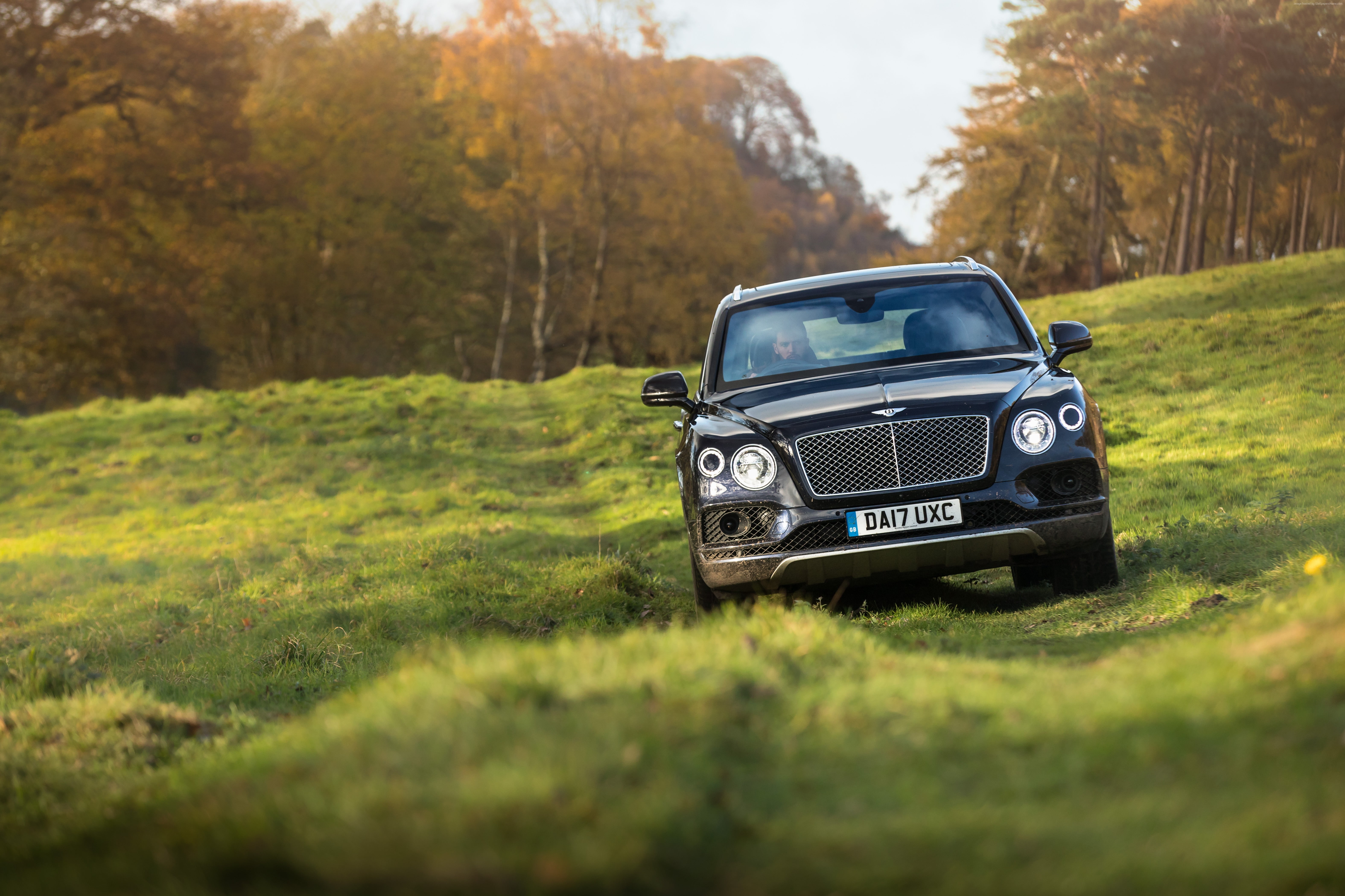 green color, transportation, growth, landscape, tree, mode of transportation, nature, 2018 Cars, 5K, car, selective focus, grass, 5K, Bentley Bentayga Field Sports, HD Wallpaper