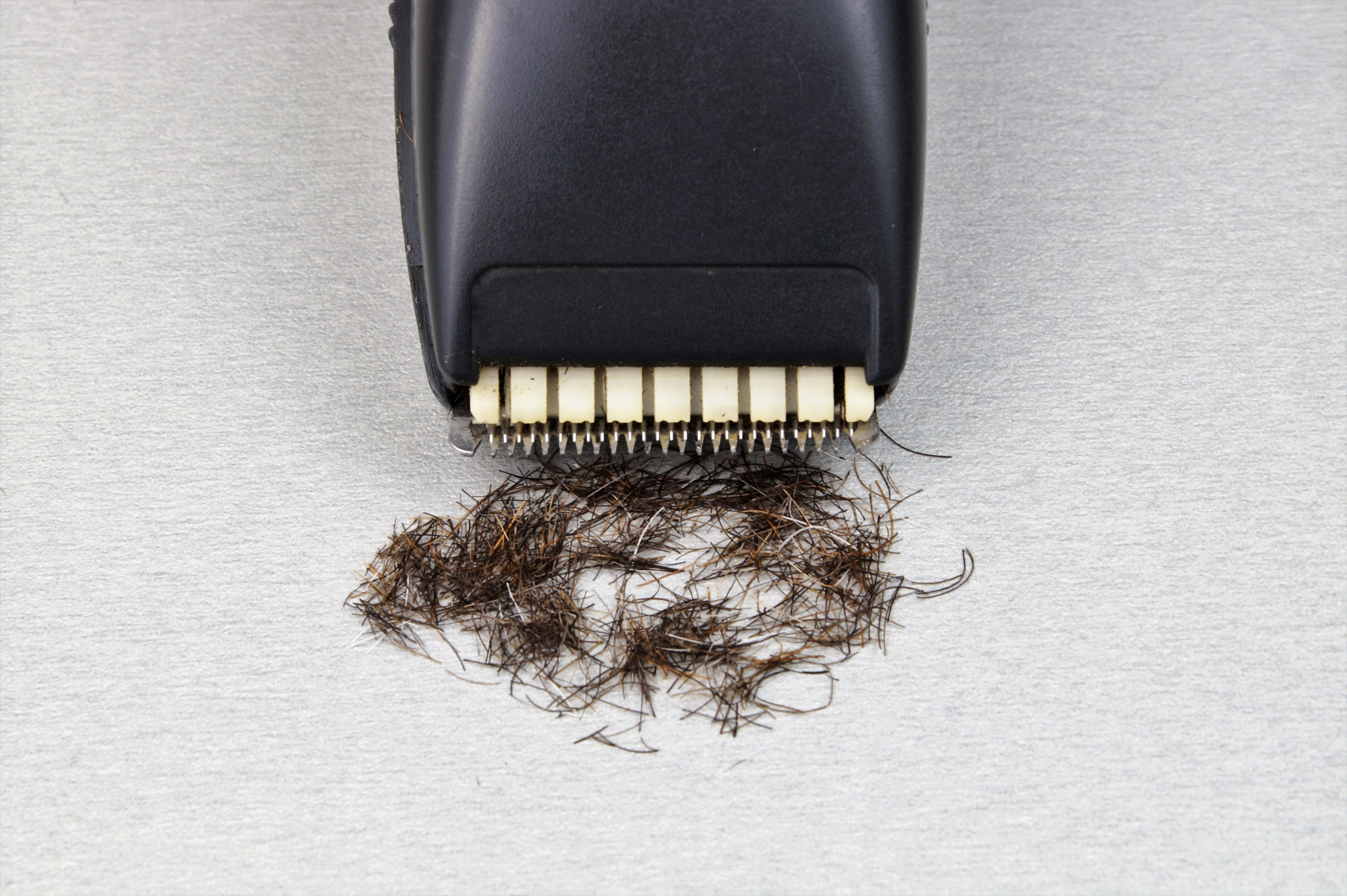 shaving, still life, bristles, surfac, beard hair, close-up, gray, black color, one animal, black, man, high angle view, clipper, razor, equipment, studio shot, HD Wallpaper