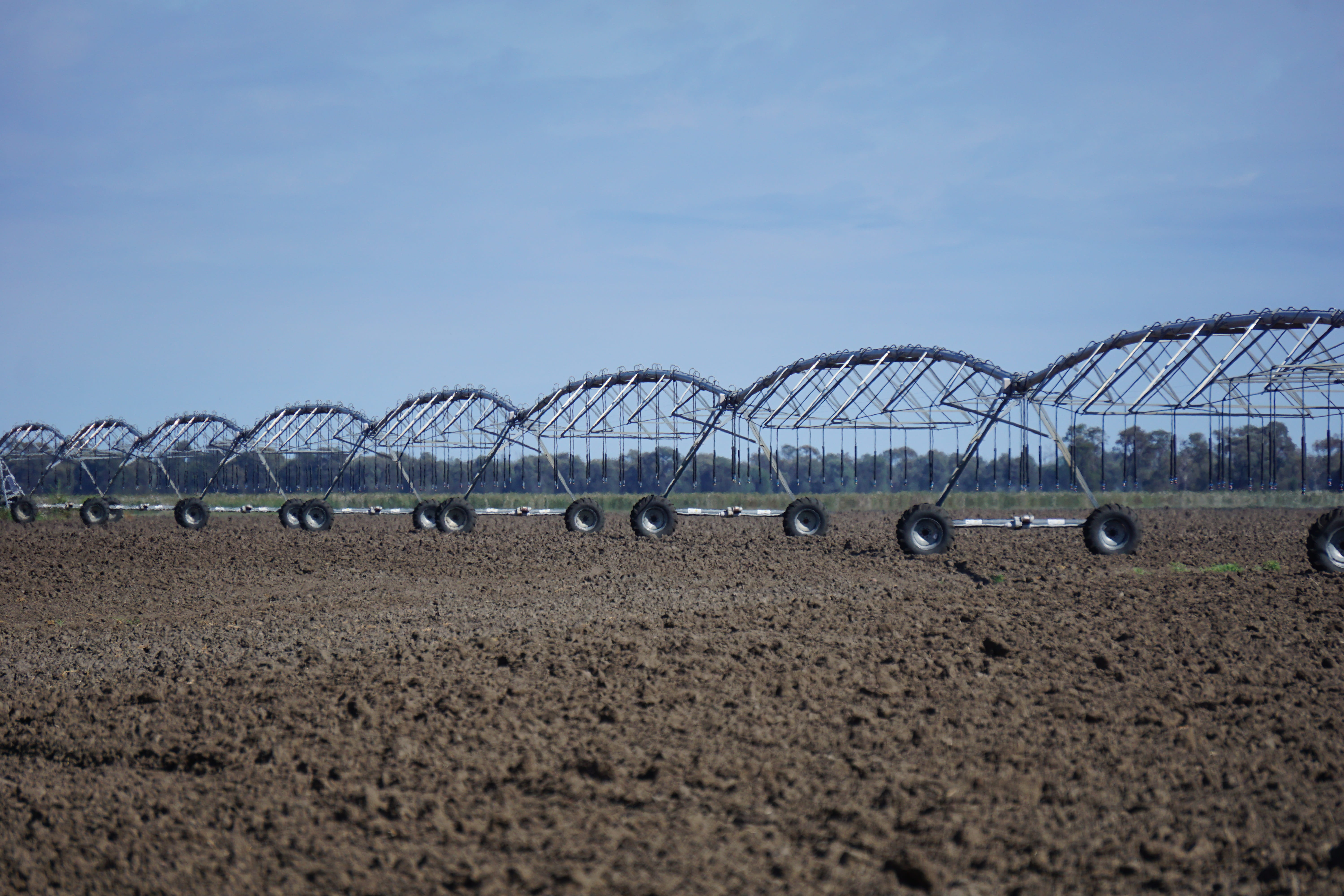 safety, irrigator, Travelling, animals in the wild, technology, irrigation, security, nature, outdoors, day, landscape, field, group of animals, farmland, HD Wallpaper