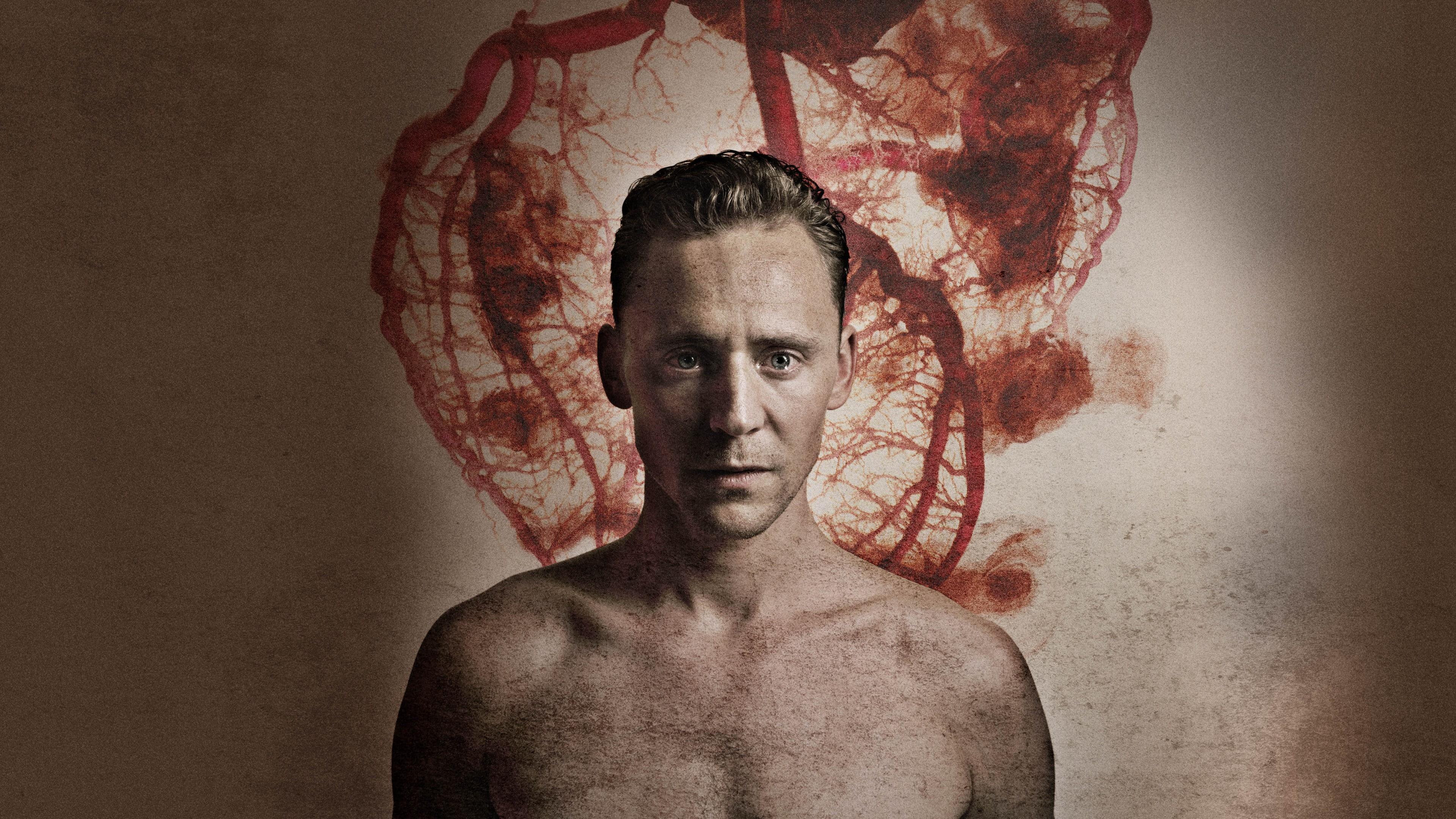 Avengers: Age of Ultron, actor, Tom Hiddleston, Most Popular Celebs in 2015, 4K, I Saw the Light, Crimson Peak, HD Wallpaper