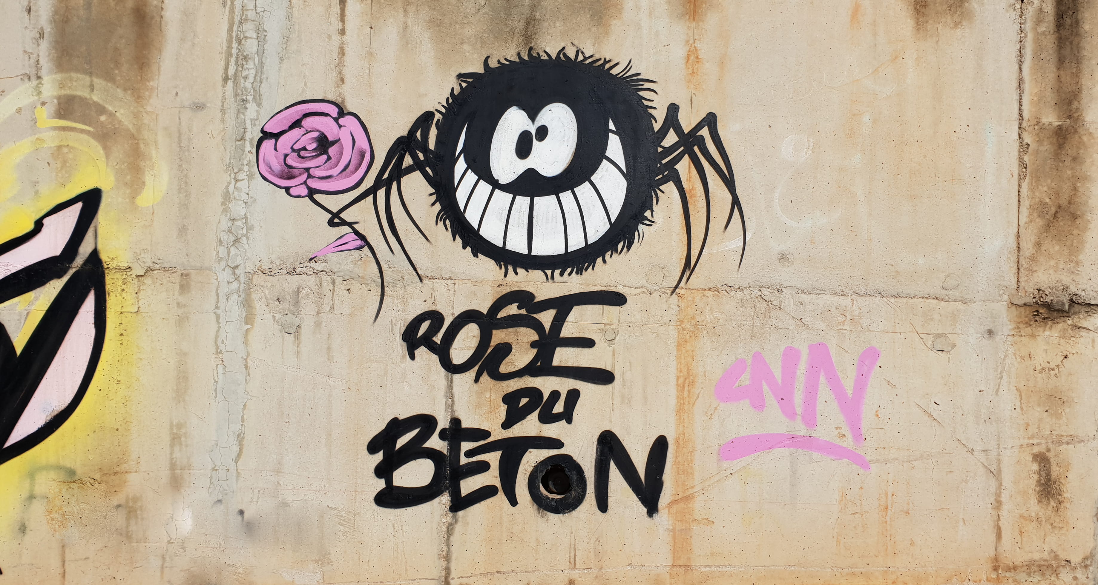 communication, flower, drawing - art product, plant, dents, art, beton, message, wall, color, painting, rose, built structure, du, text, architecture, HD Wallpaper