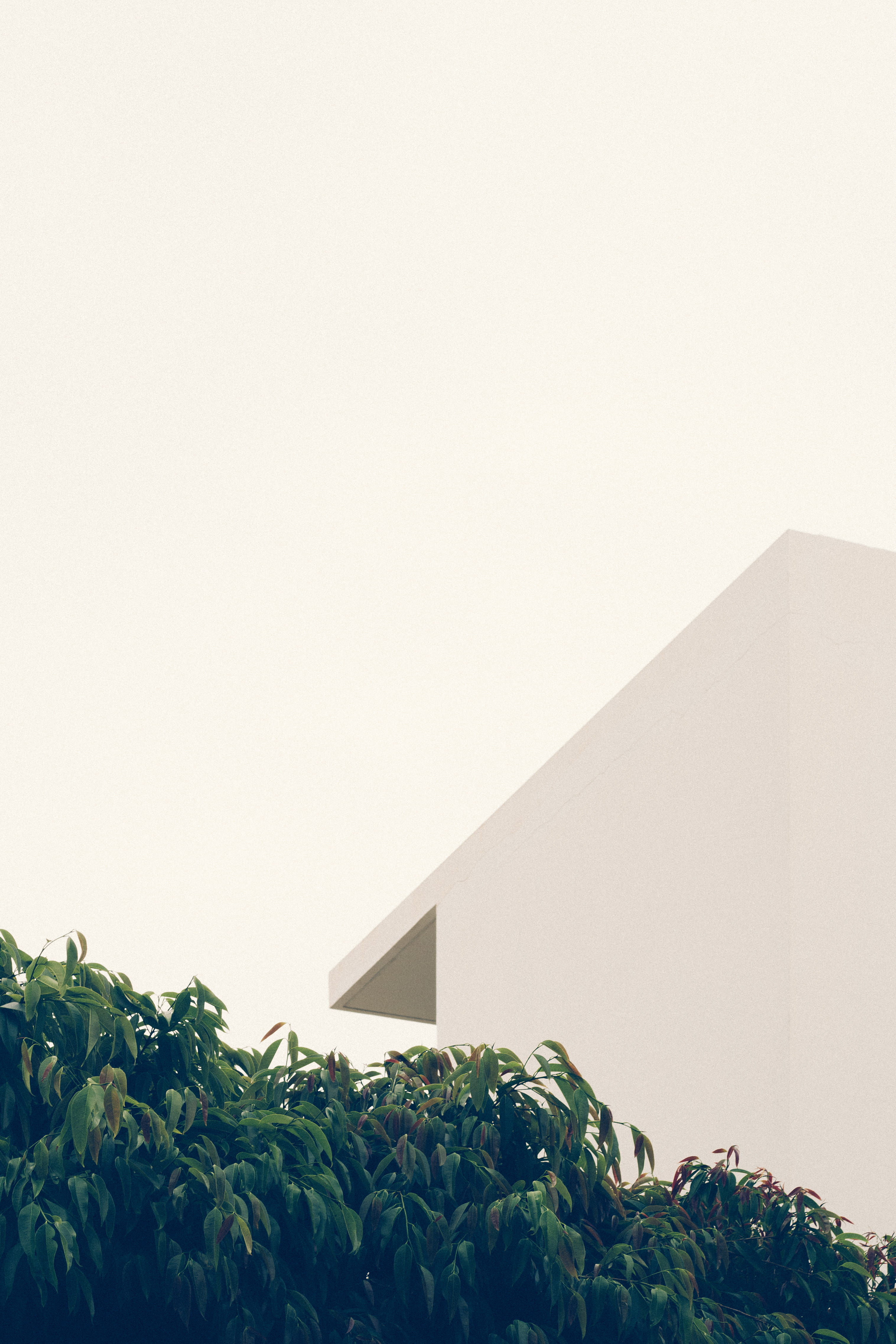 copy Space, building, overcast, beside, sky, no People, minimal, line, outdoors, day, nature, summer, tree, background, green, white, built Structure, 4K, Phone HD Wallpaper