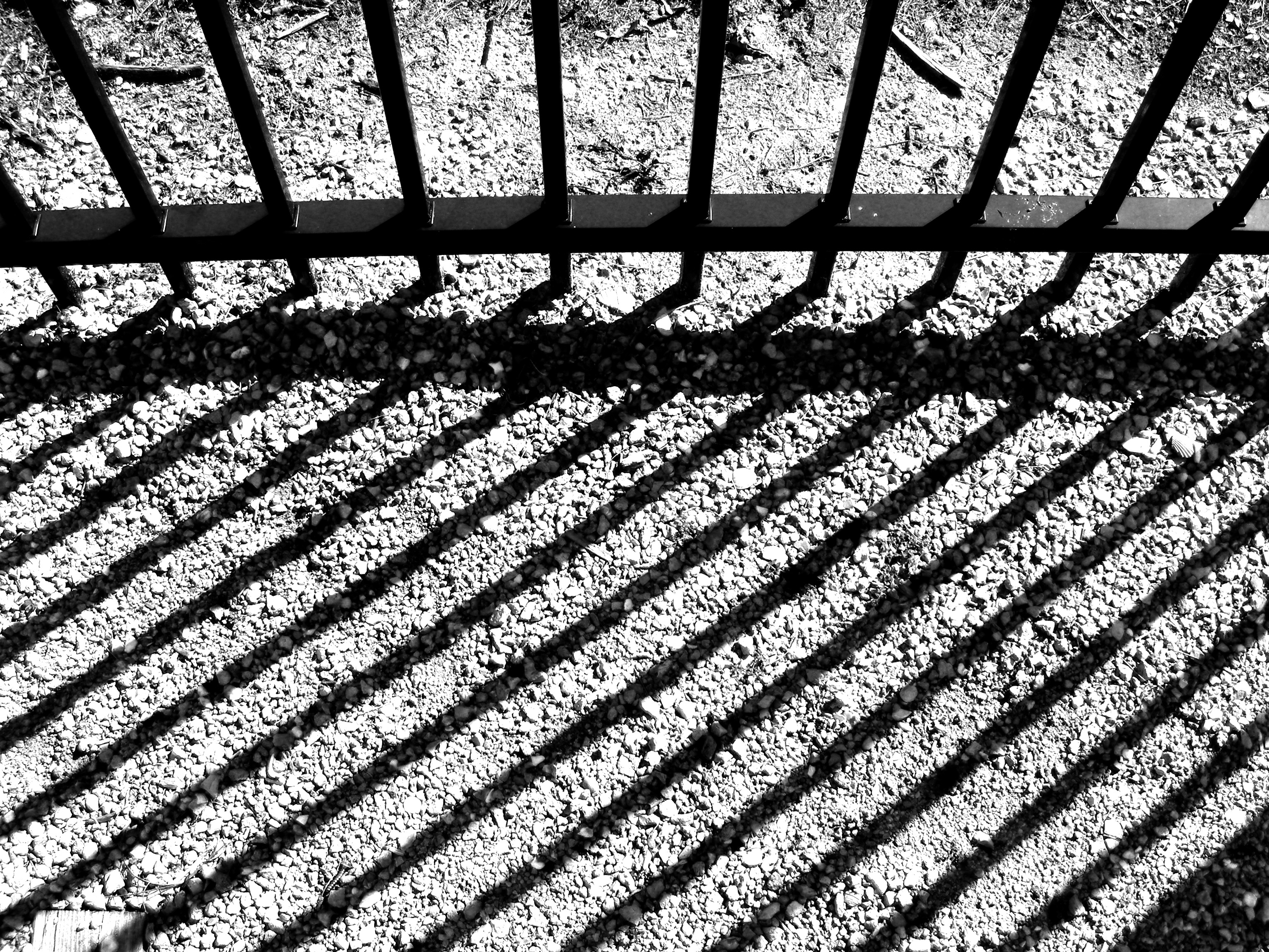 high angle view, fence, pattern, backgrounds, halloween, nature, florida, focus on shadow, sunlight, street, iron, railing, barrier, light, 2K, day, stones, HD Wallpaper