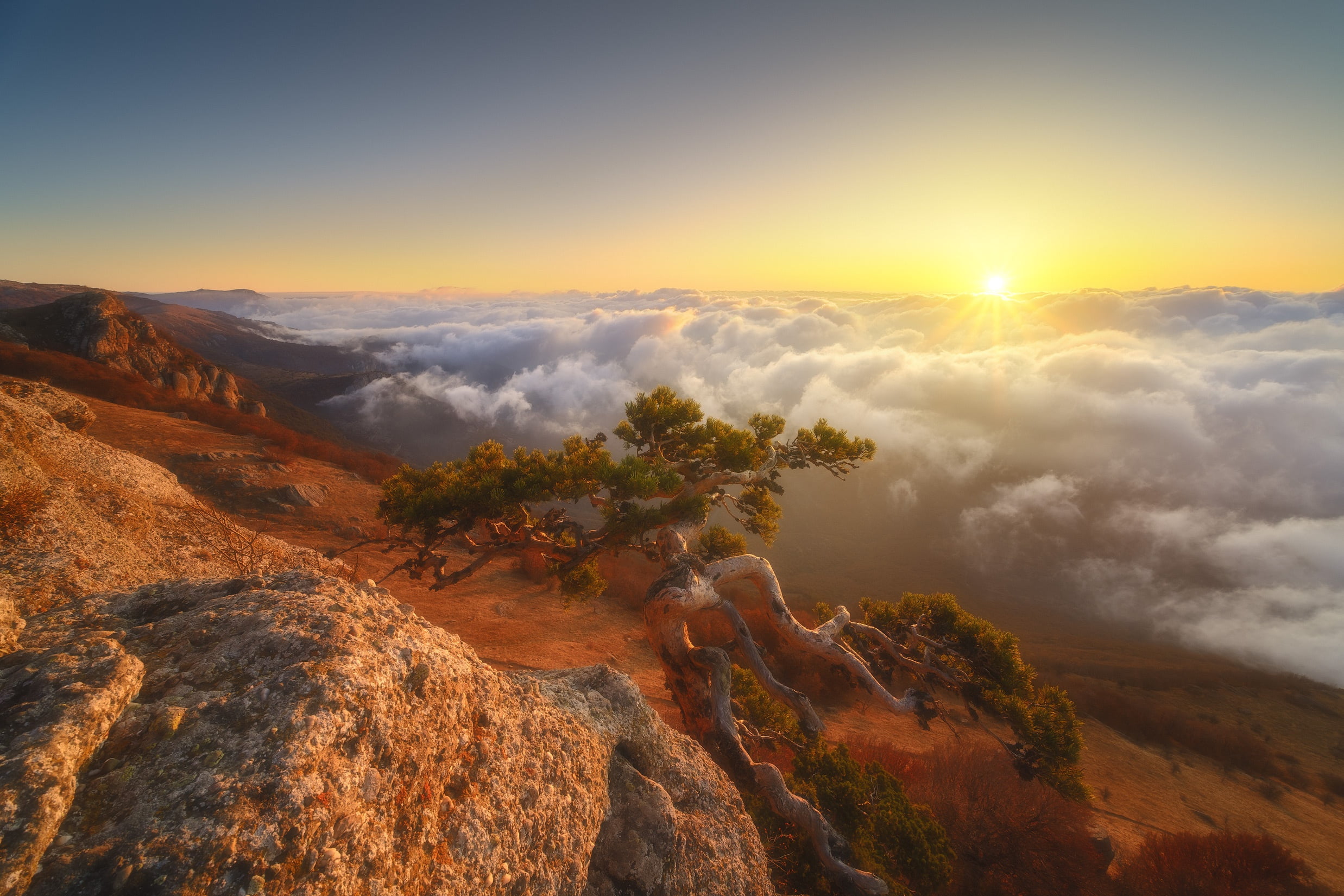 morning, dawn, tree, Alex Revs, mountains, clouds, Demerdzhi, 1080P, pine, the sun, rays, landscape, Crimea, autumn, Rev Alex, nature, HD Wallpaper