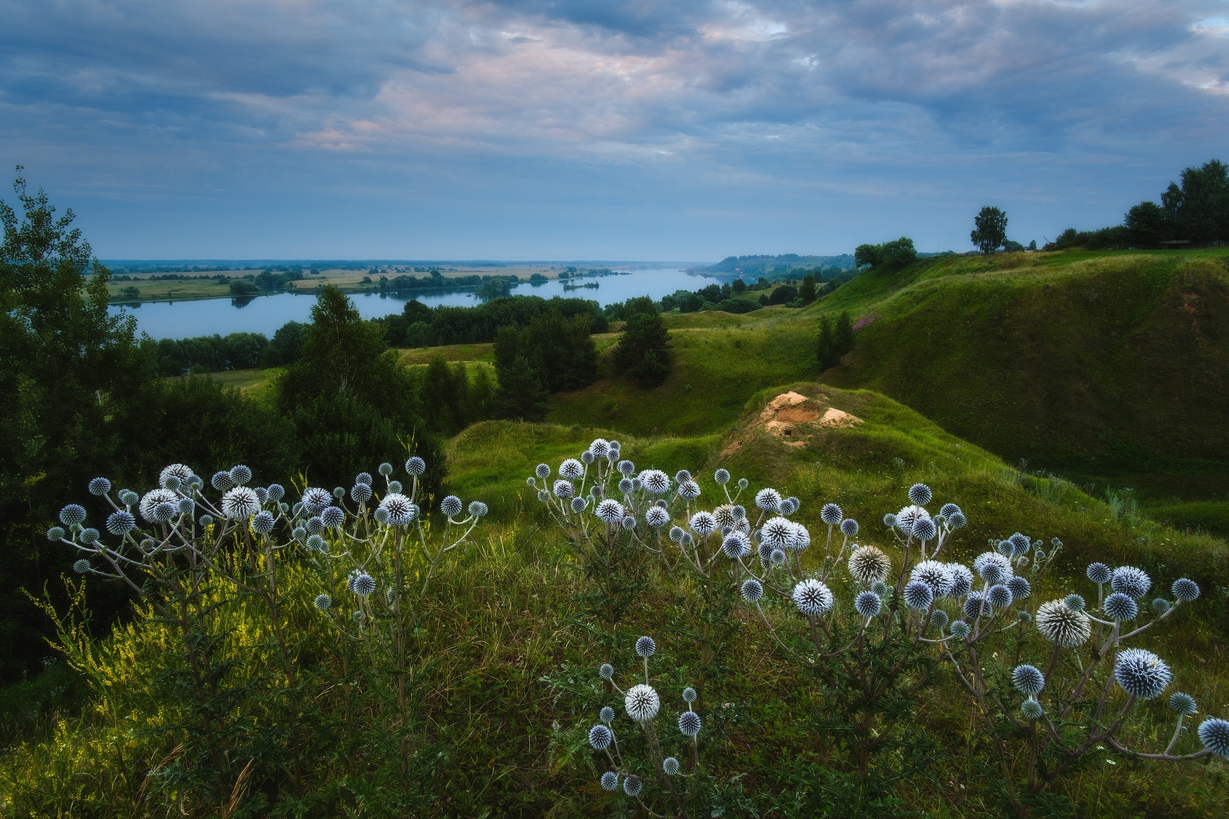 1080P, vegetation, Oka, Rev Alex, nature, landscape, hills, Konstantinovo, river, HD Wallpaper