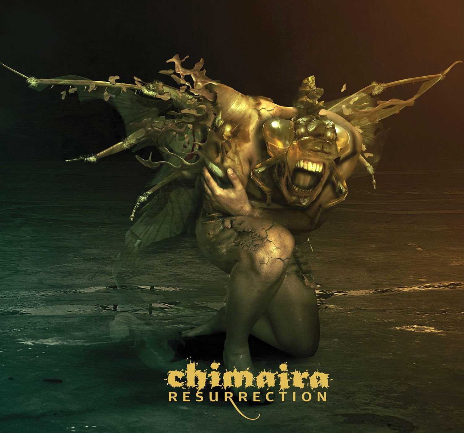 heavy, metalcore, mountain, metal, nu metal, chimaira, 720P, poster, groove, dark, HD Wallpaper
