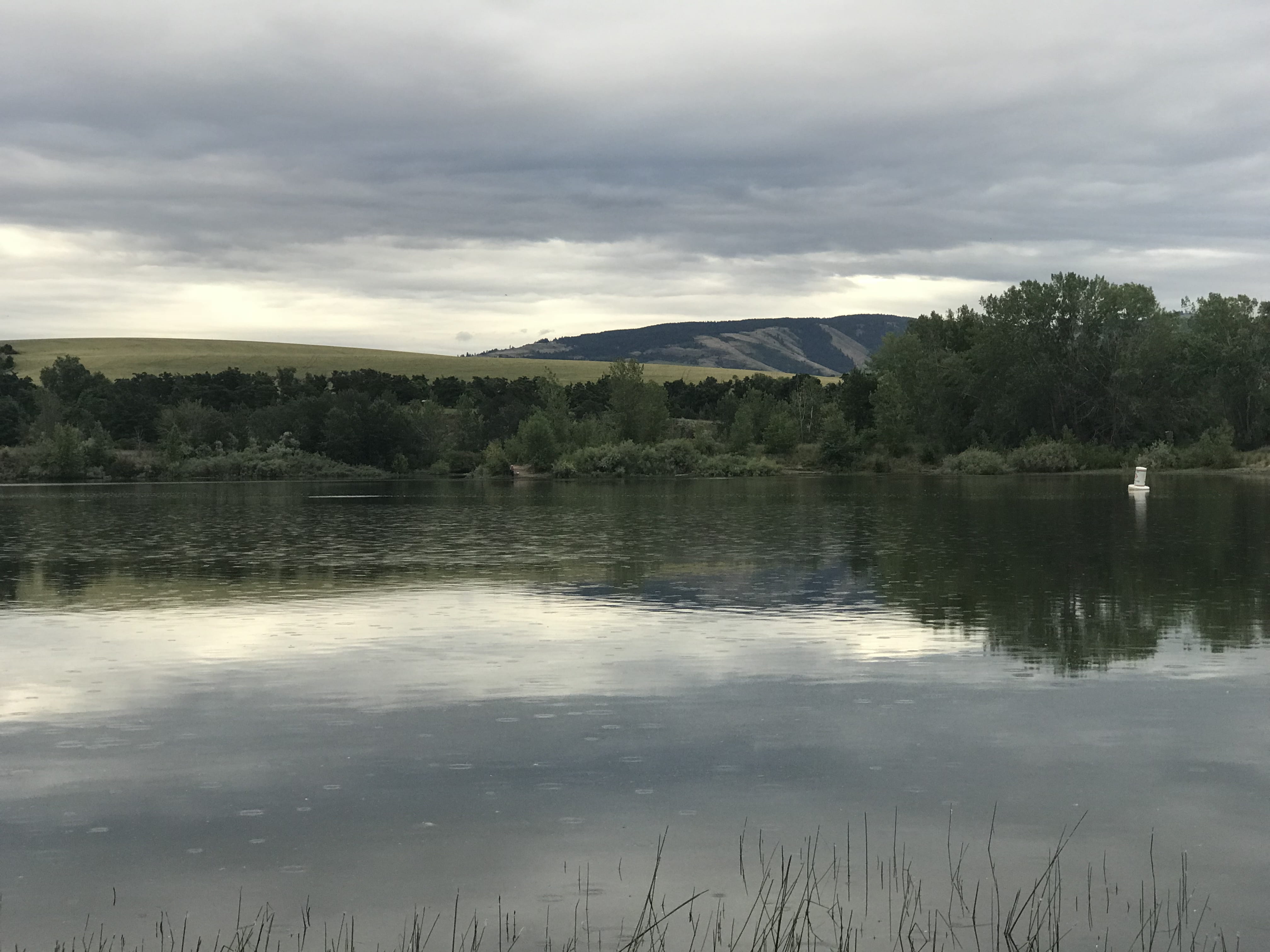day, views, rain, bennington lake, pnw, water, lake, nature, mountain, idyllic, cloud - sky, trees, no people, united states, 4K, growth, tranquility, HD Wallpaper
