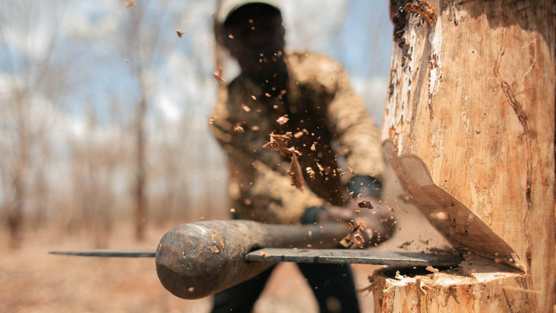 trees, 1080P, axes, wood, chopping, men, splinters, depth of field, HD Wallpaper