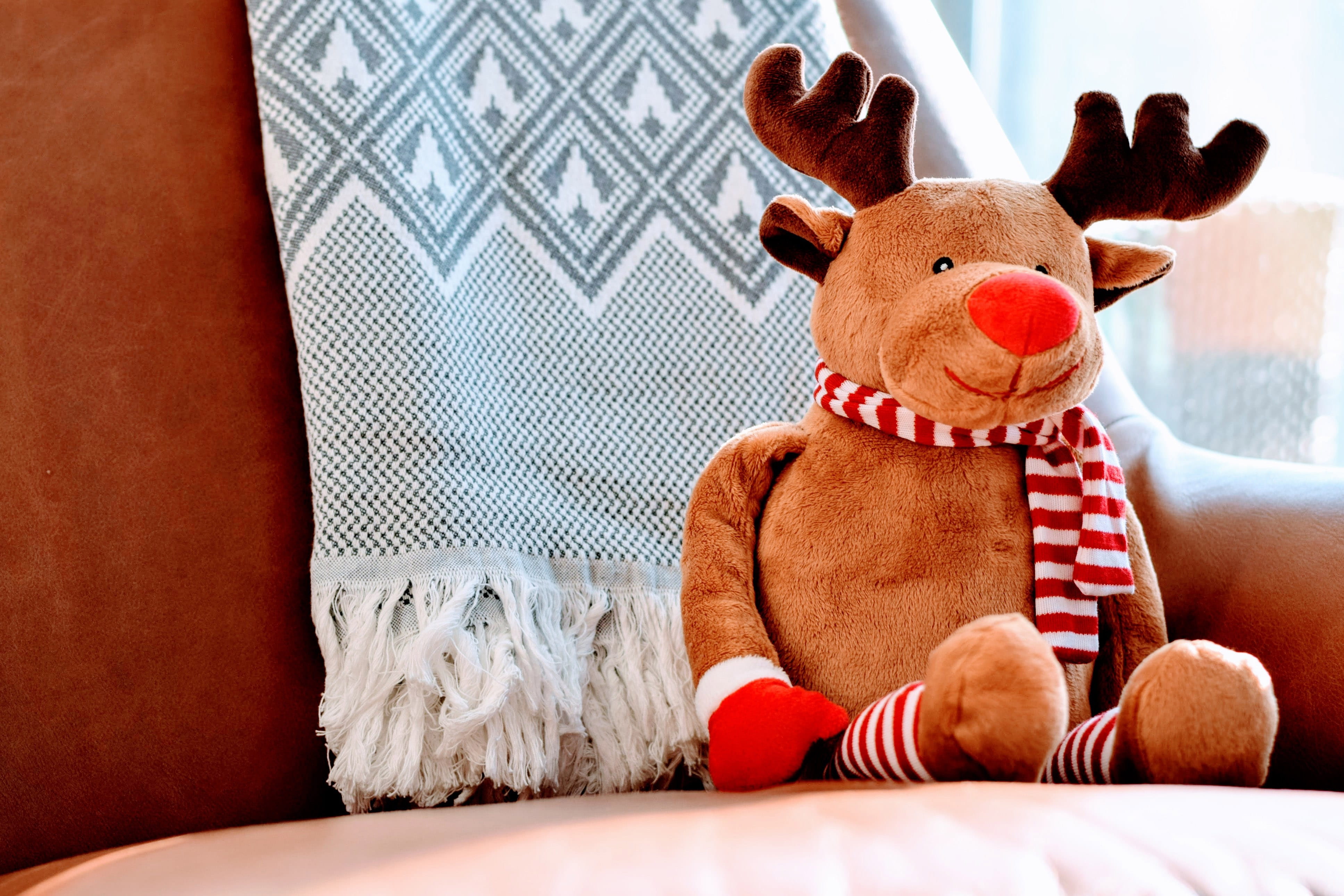 Rudolph the Red Nosed Reindeer, domestic room, indoors, representation, reindeer, rudolph, childhood, teddy Bear, toy animal, home interior, 4K, softness, HD Wallpaper