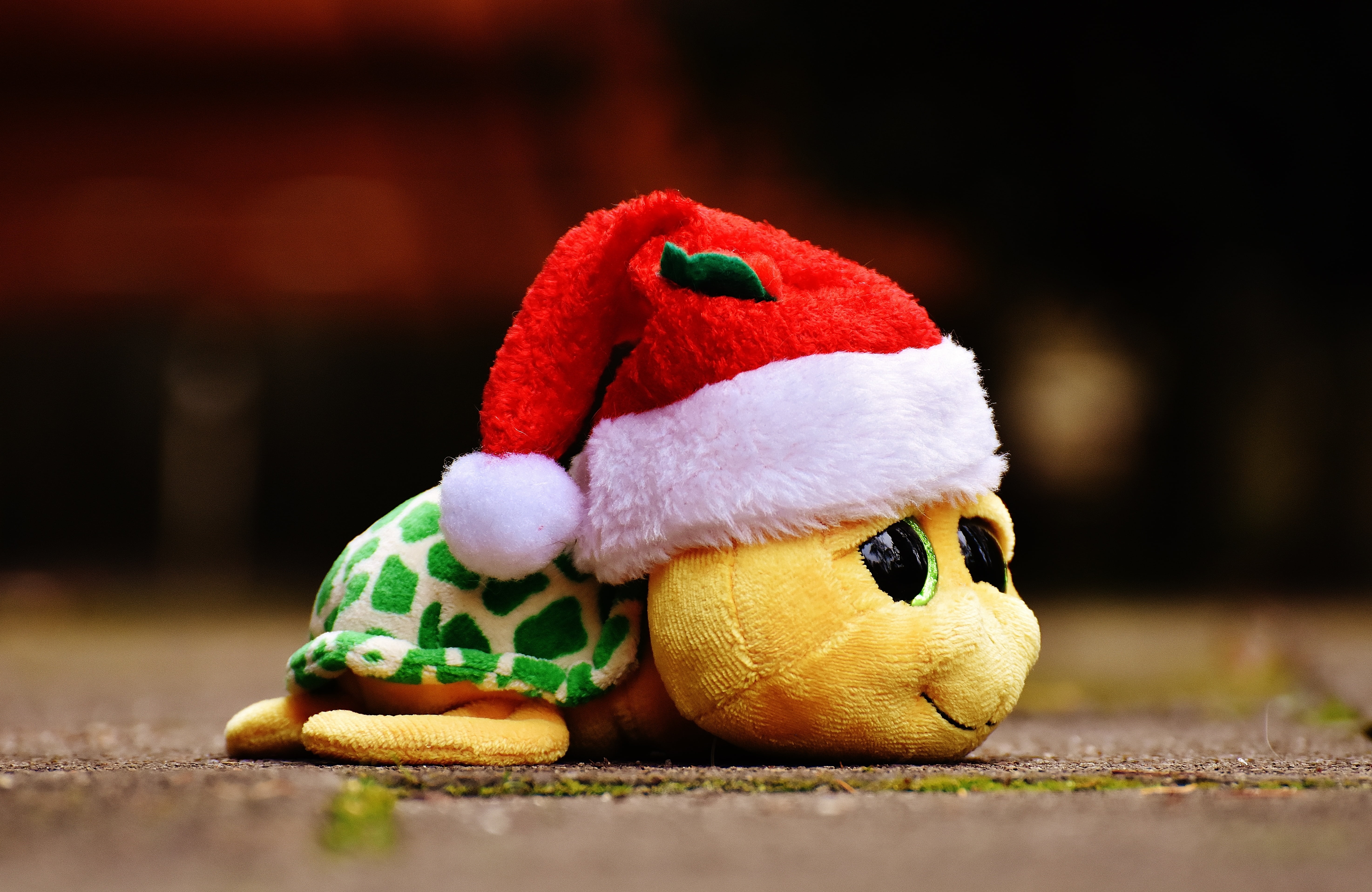 indoors, cuddly, representation, toy, stuffed animal, no people, softness, funny, cute, mammal, santa hat, turtle, sweet, children toys, day, red, toys, HD Wallpaper