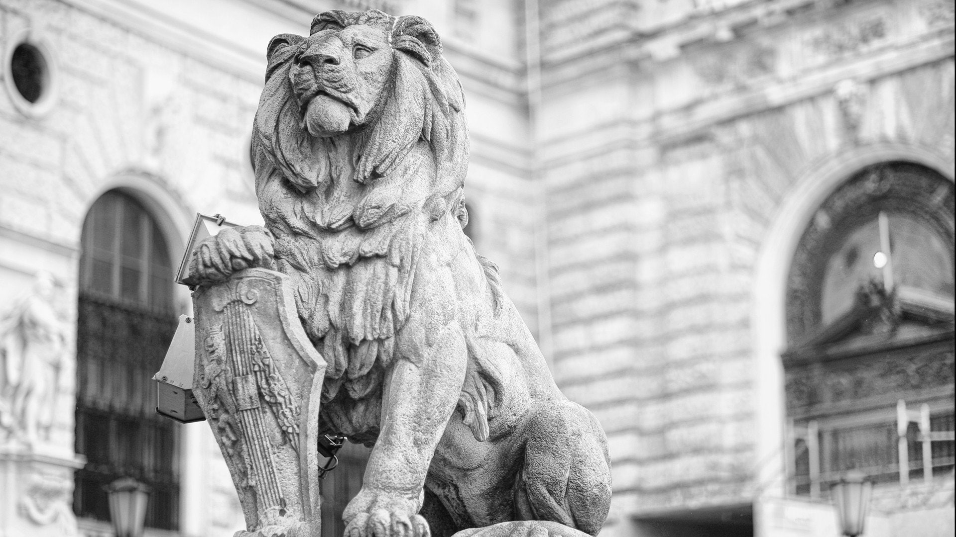 Sculpture, Man Made, 1080P, Lion, Black and White, Statue, HD Wallpaper