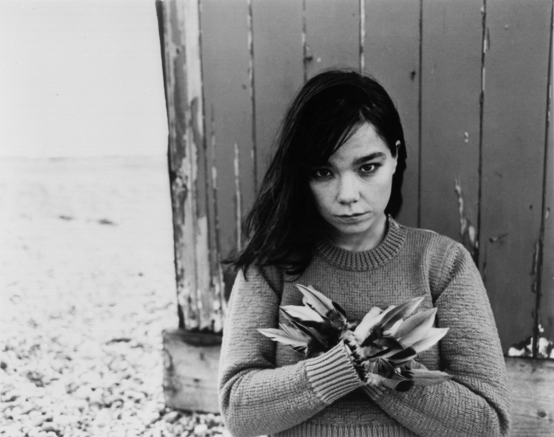 Singers, 1080P, Björk, HD Wallpaper