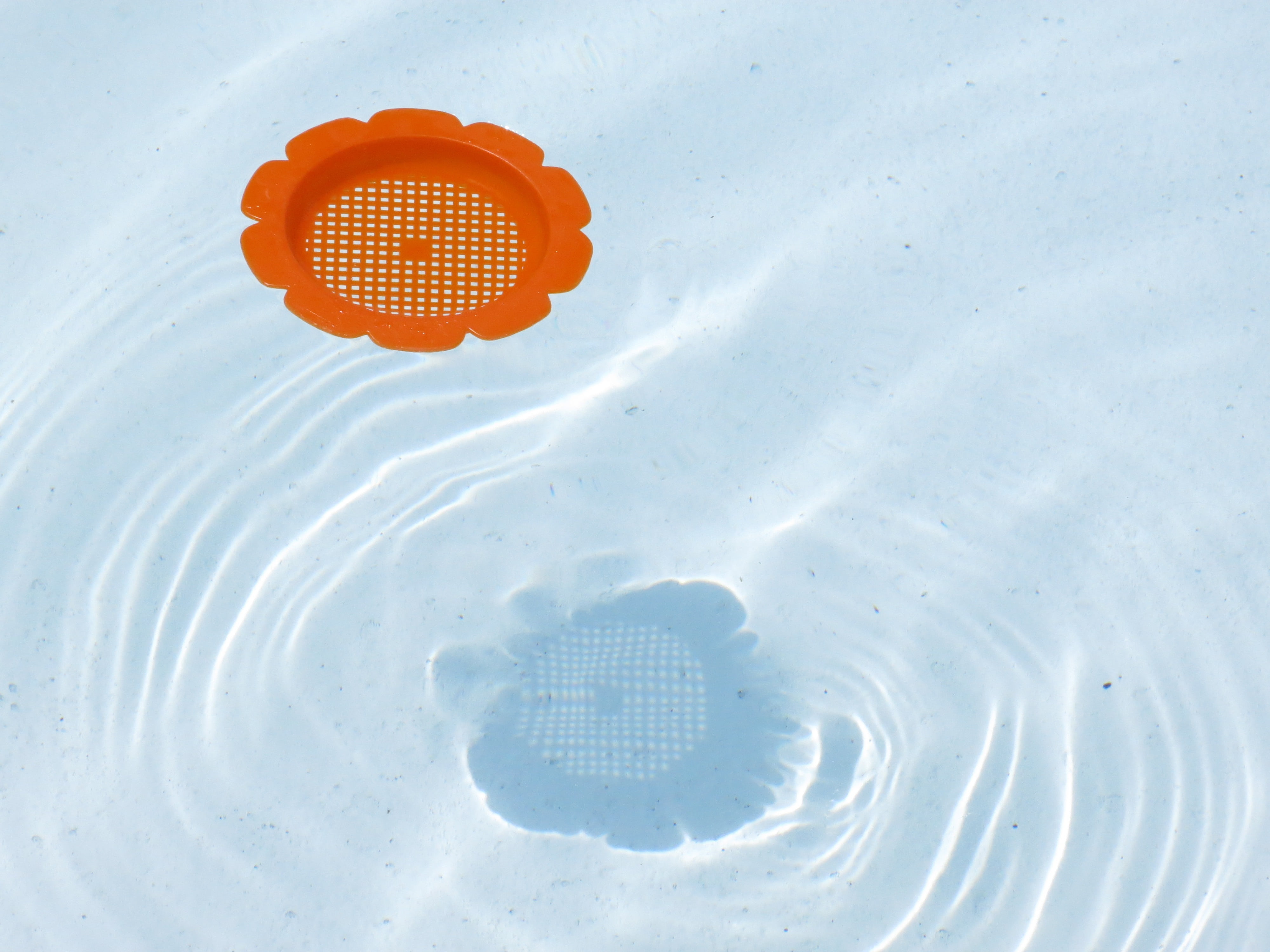 swimming pools, swim, nature, orange color, vacation, baby, toddler, pool toy, kids toys, safety, sunlight, floating, plastic, close-up, circle, beach, HD Wallpaper