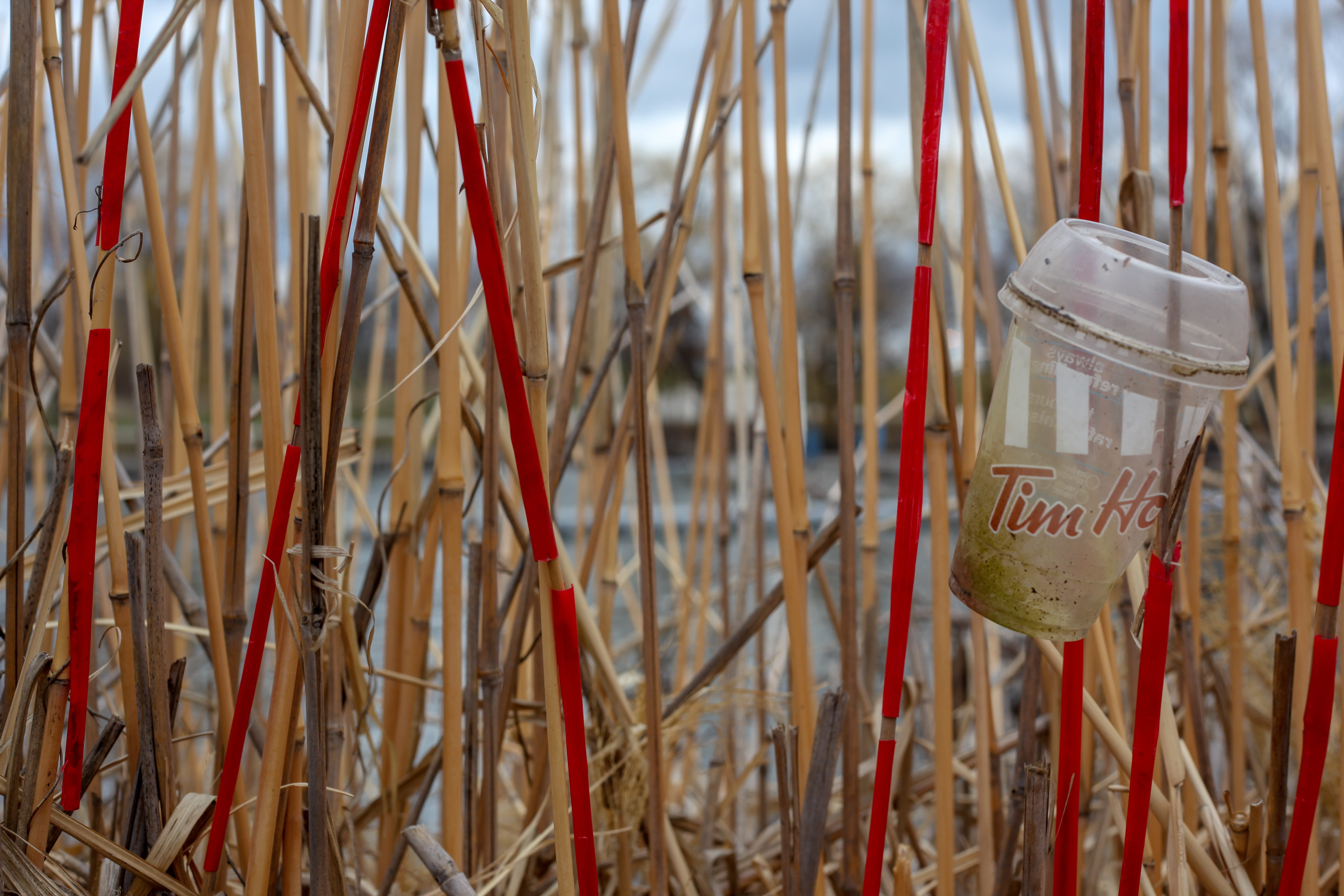 text, garbage, day, selective focus, focus on foreground, red, container, close-up, spirituality, outdoors, incense, hanging, beach, straws, pollution, HD Wallpaper
