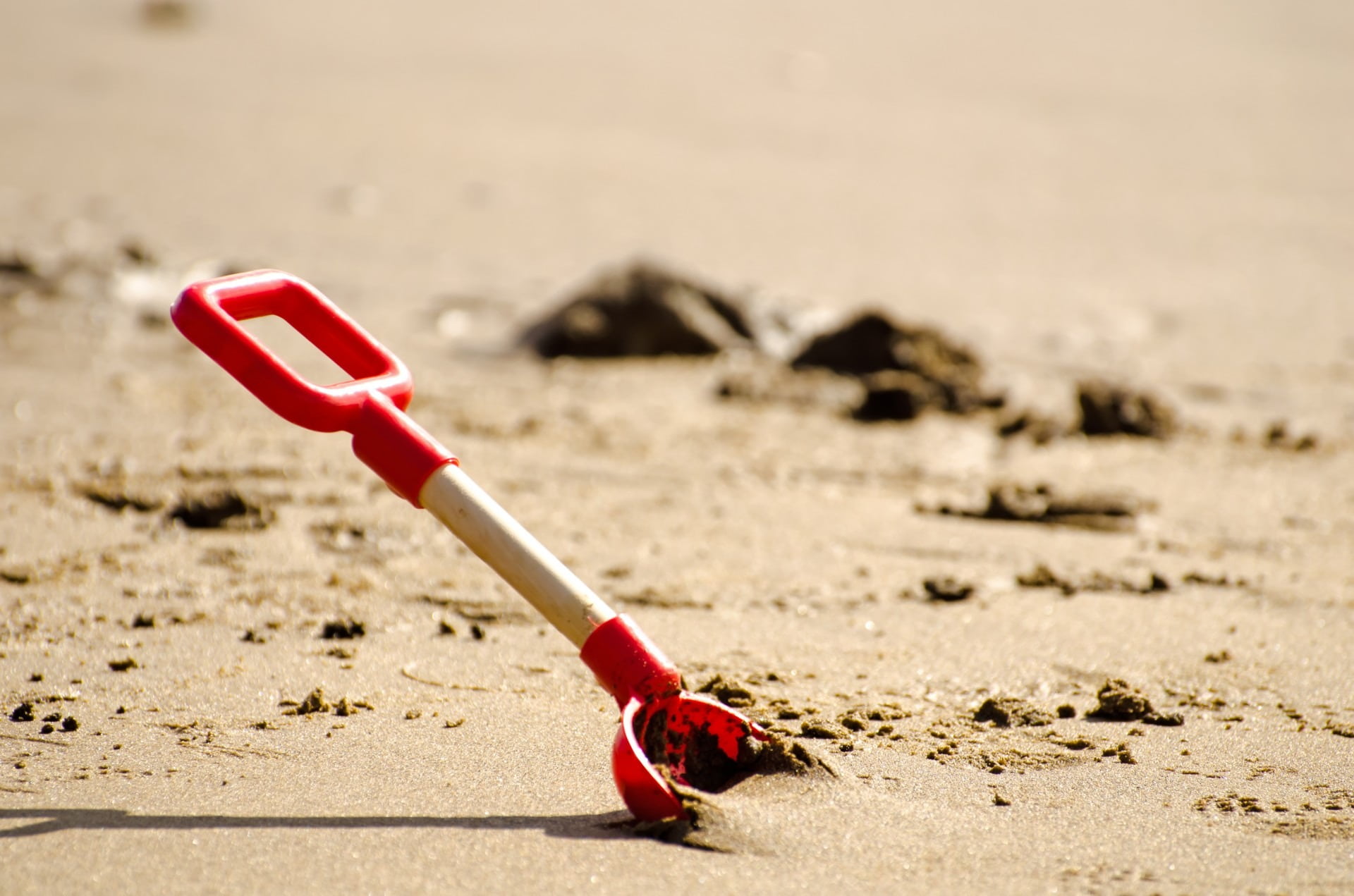 scapula, water, focus on foreground, hand tool, still life, game, sand, spring, holiday, shovel, toy, vacations, children, sunlight, single object, season, HD Wallpaper
