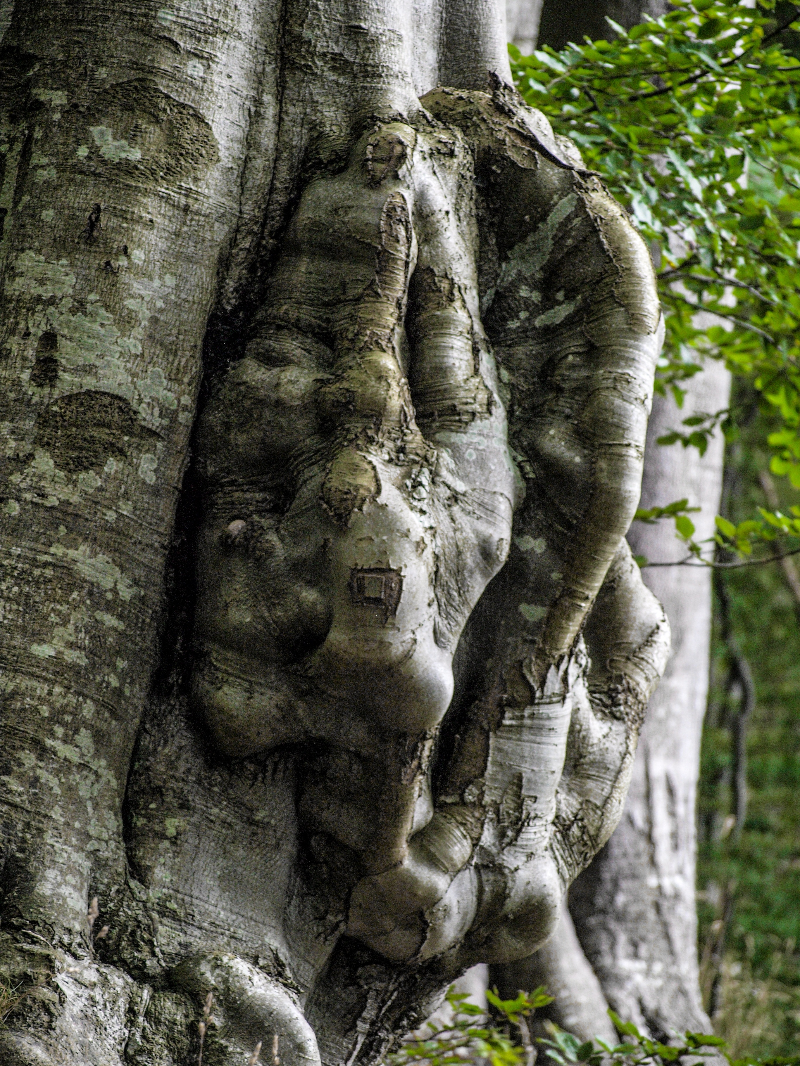 human representation, outdoors, focus on foreground, male likeness, structure, forest, spirituality, belief, ancient, carving - craft product, religion, Phone HD Wallpaper