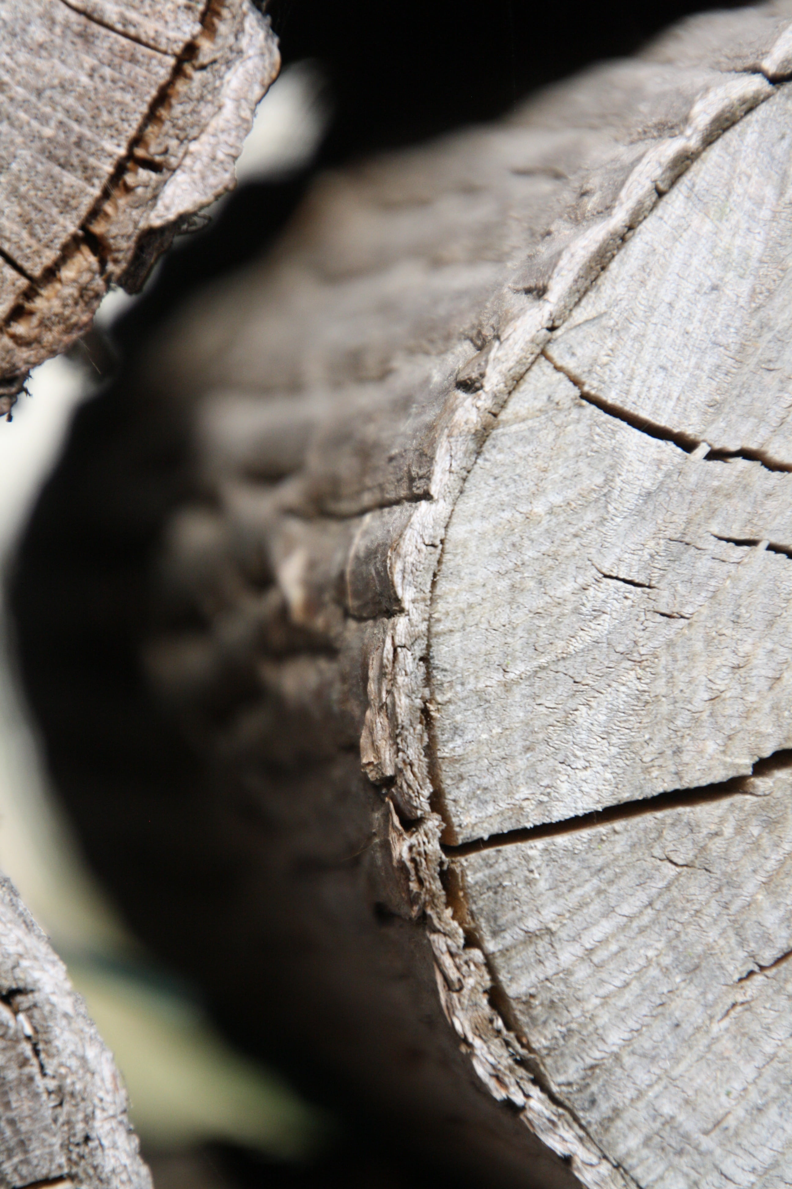 firewood, wood - material, background, tree, textured, day, fuel and power generation, environmental issues, 4K, tribe, wheel, close-up, autumn, holzstapel, Phone HD Wallpaper