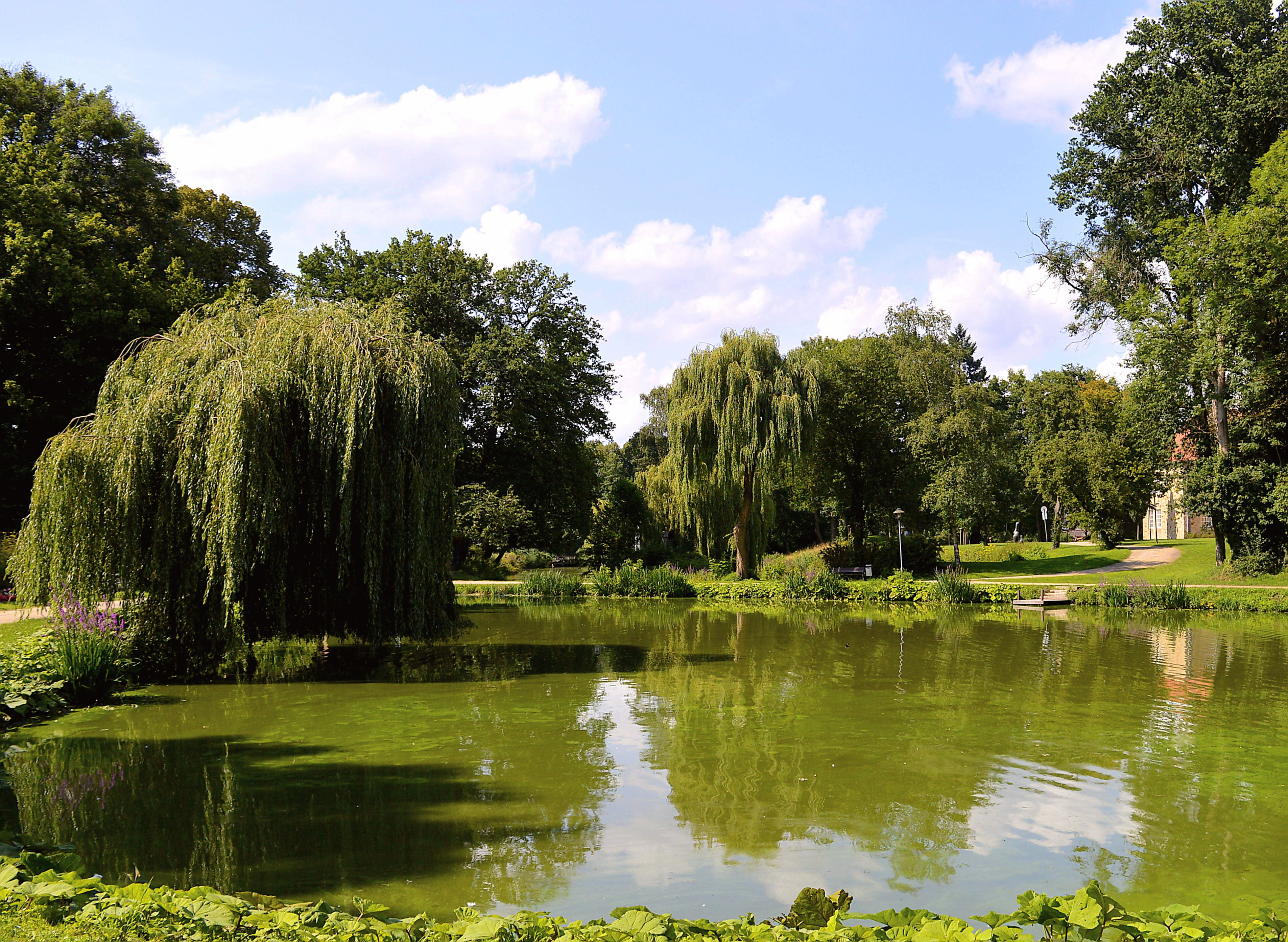 day, 2K, mood, july, tranquility, growth, nature, beauty in nature, green color, leisure, plant, ingenuity, summer, bank, tree, sun, landscape, park, trees, HD Wallpaper