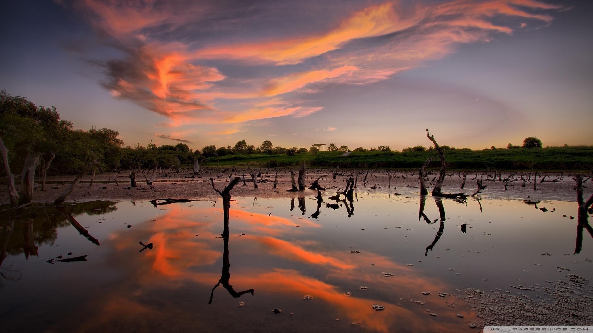 dead, trees, clouds, nature and landscapes, dead trees, river, 1080P, reflection, HD Wallpaper