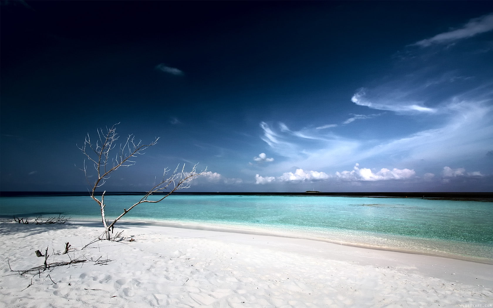 720P, tree, beach, hd, dead, HD Wallpaper