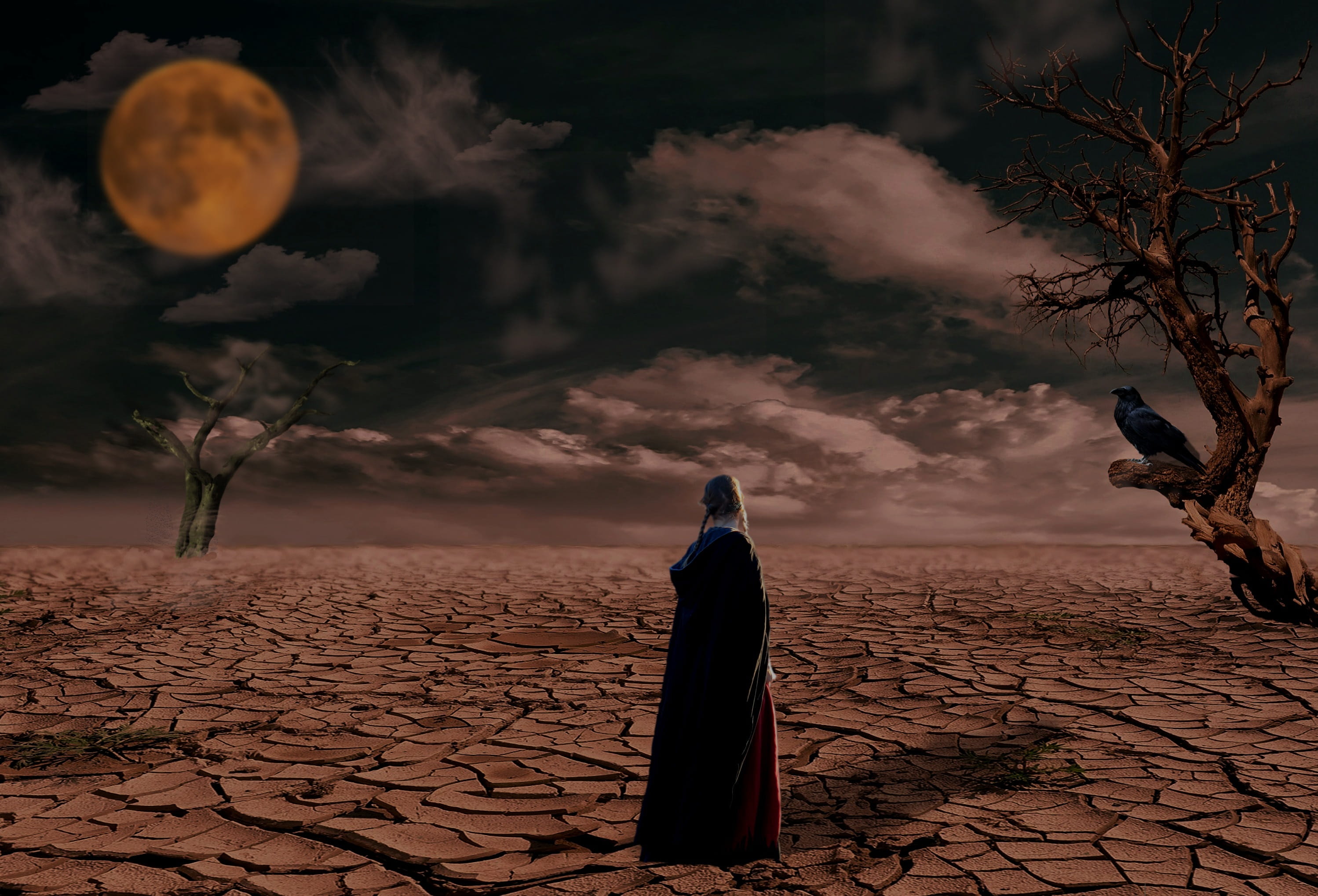 wastes, evening, men, wasteland, darkness, land, landscape, plant, rear view, beauty in nature, dry, parched, lifestyles, end time, woman, real people, HD Wallpaper