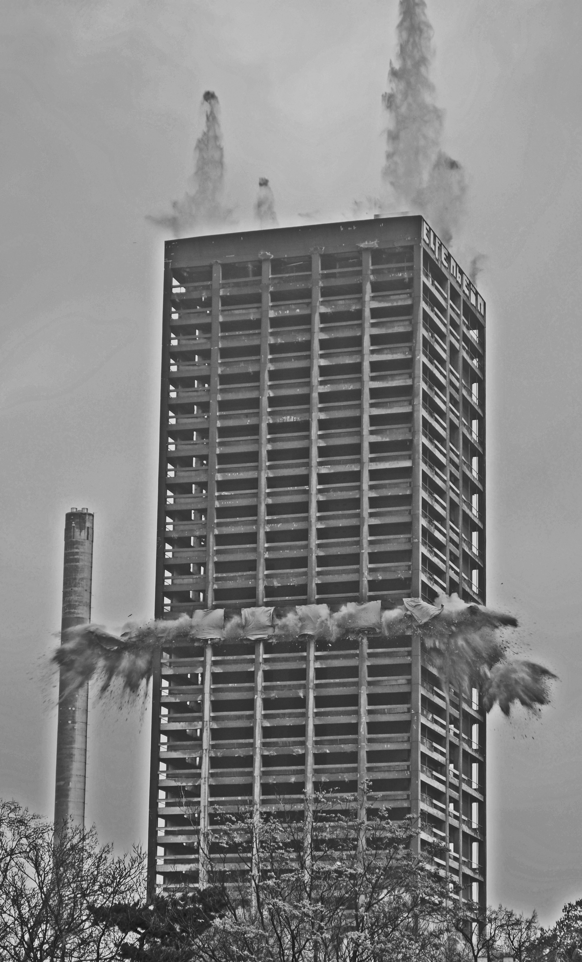 bird, metal, skyscraper, animal wildlife, outdoors, low angle view, no people, explosion, black And White, blowing up, frankfurt, vertebrate, day, demolition, Phone HD Wallpaper