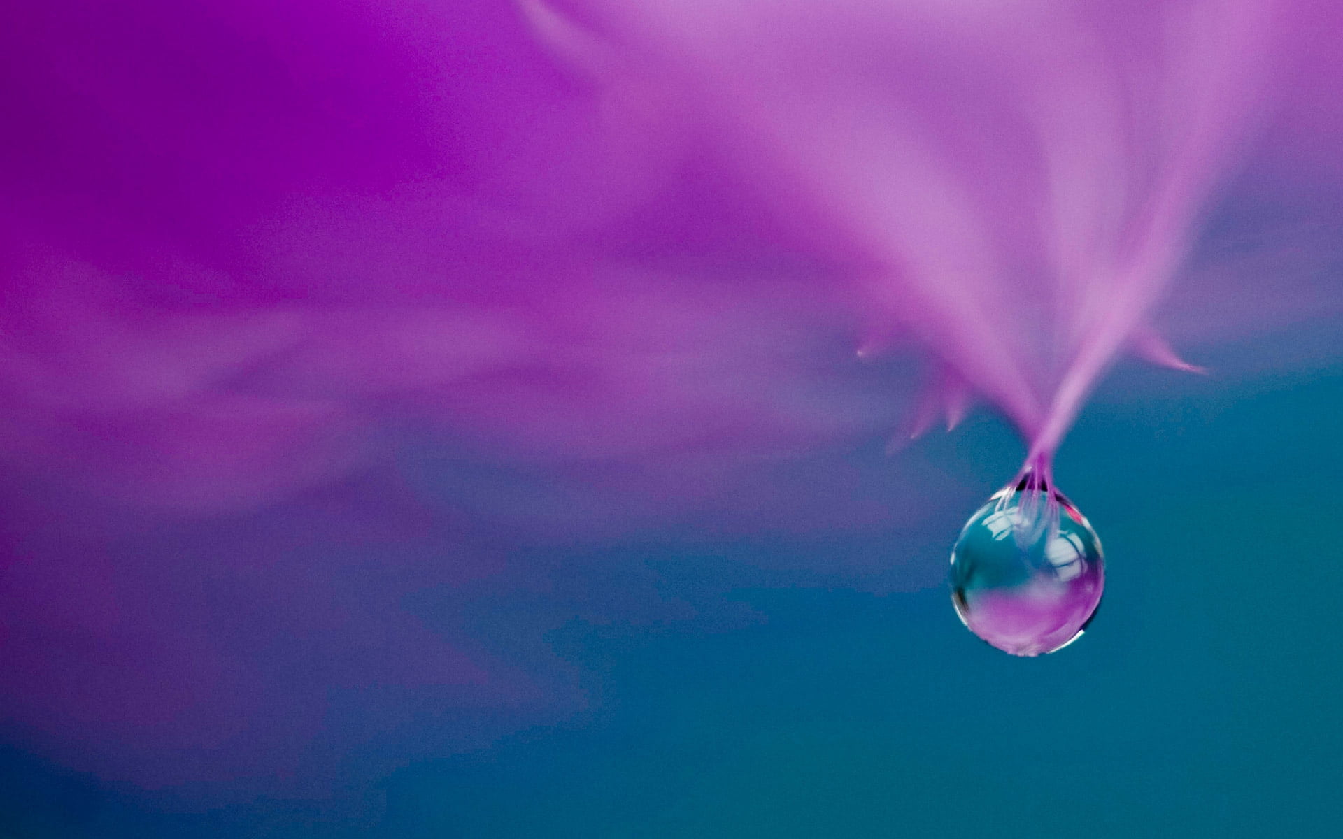 pink color, purple, light - Natural Phenomenon, glare, 1080P, abstract, outdoors, water, shiny, blurred motion, creativity, bright, circle, beauty in nature, HD Wallpaper