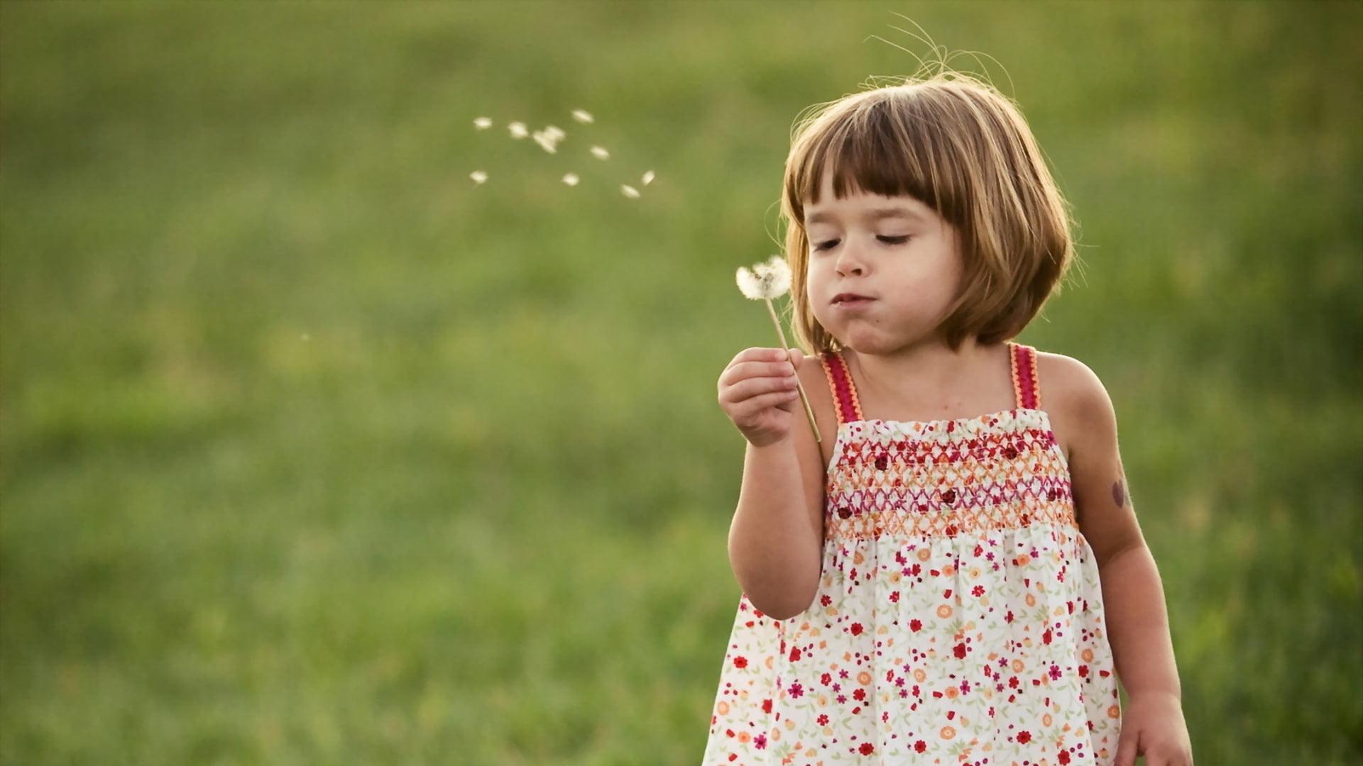 hairstyle, grass, strap, pattern, outdoors, child, focus on foreground, floral, offspring, holding, innocence, dress, one person, women, front view, waist up, HD Wallpaper