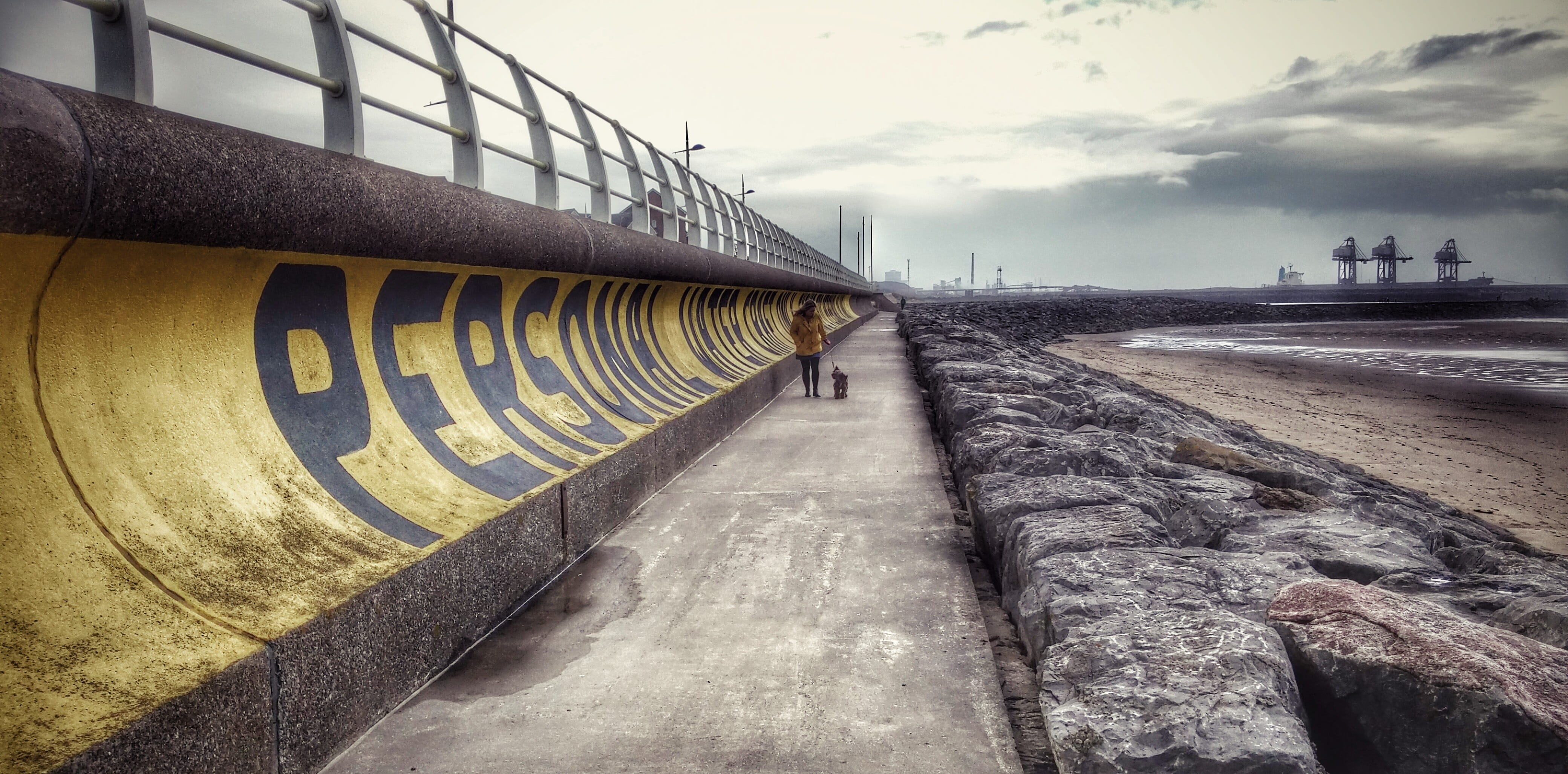 long, connection, architecture, outdoors, Dog, 4K, sky, road, built structure, city, diminishing perspective, transportation, bridge - man made structure, HD Wallpaper