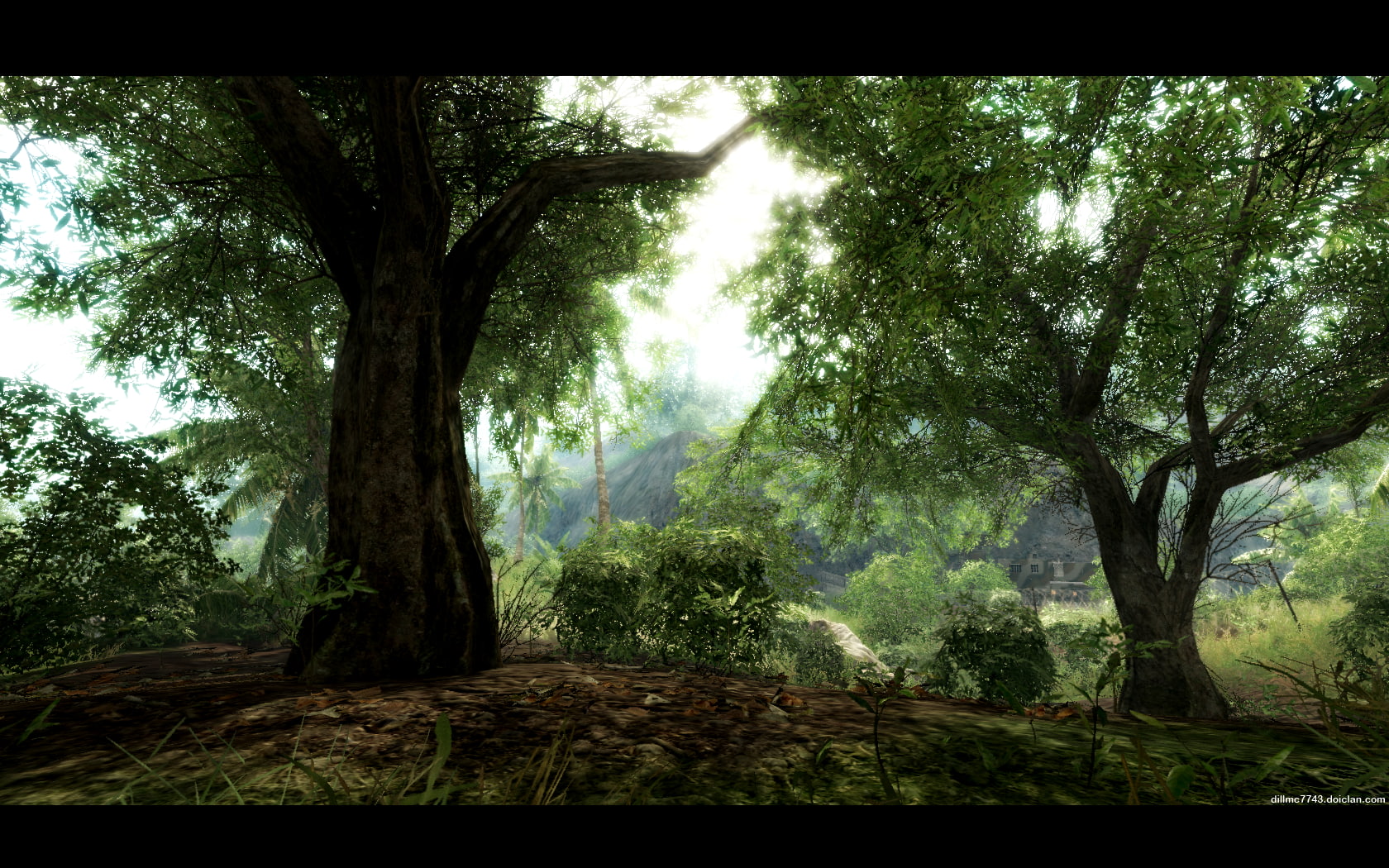 nature, woodland, Crysis, transfer print, scenics - nature, outdoors, beauty in nature, plant, video games, tranquility, trunk, tree, land, forest, auto post production filter, HD Wallpaper