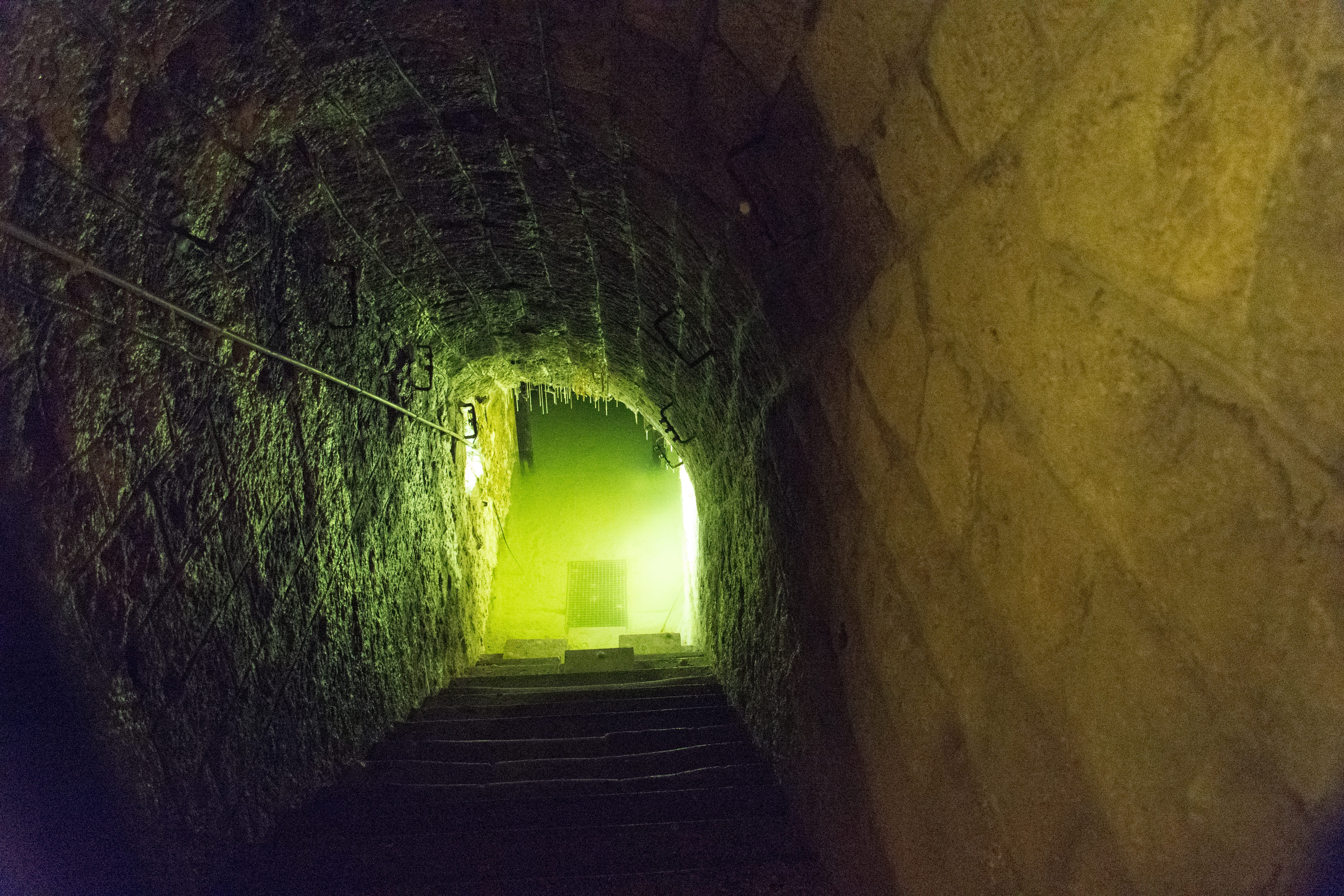 verdun, no people, long, wall - building feature, tunnel, stone wall, plant, green color, day, indoors, empty, the way forward, footpath, Bunker, douaumont, HD Wallpaper