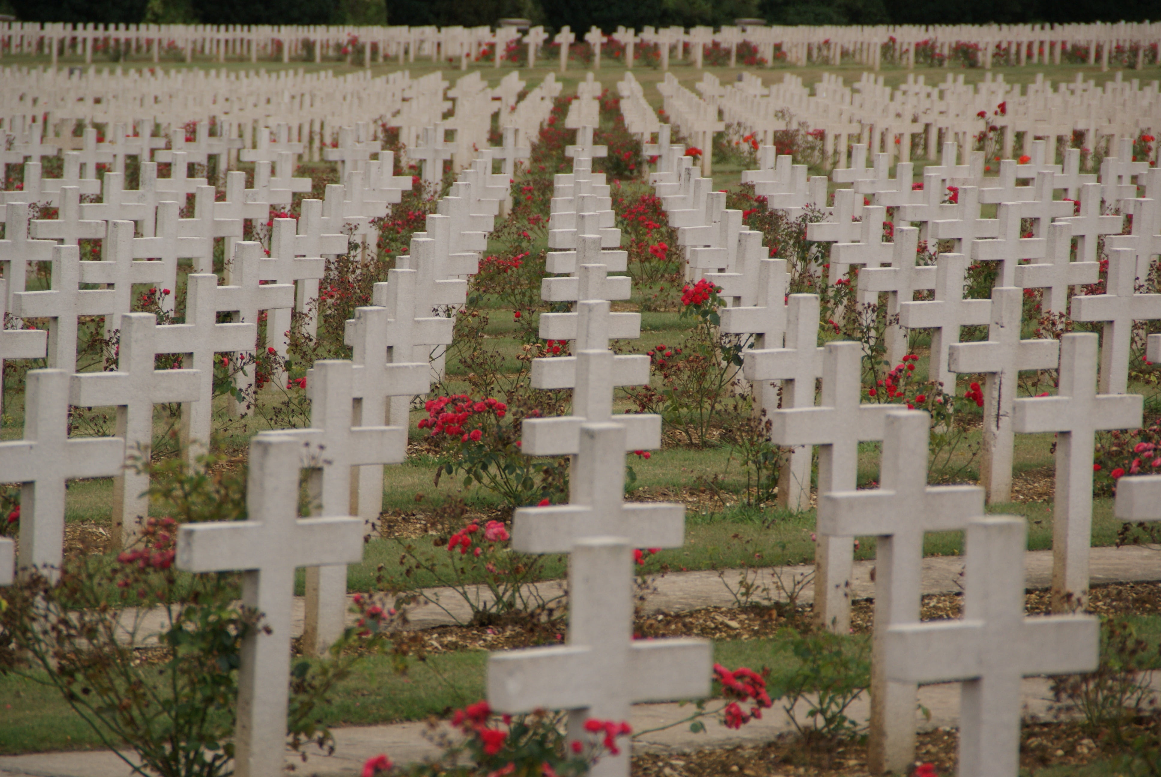 day, cross, stone, flower, 4K, commemorate, resting place, memorial, plant, no people, sadness, history, tombstone, flowering plant, emotion, verdun, nature, HD Wallpaper