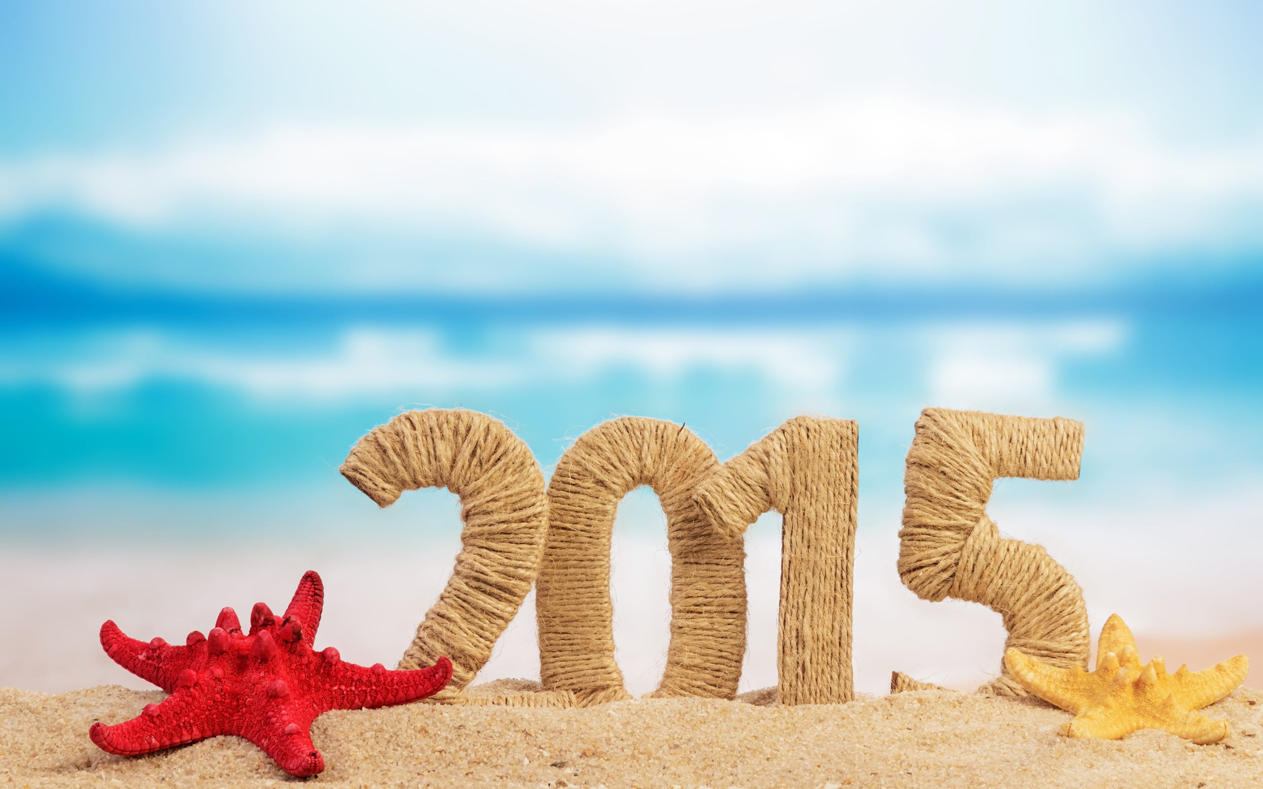 red, sunlight, New Year, two, no people, animal, day, white, focus on foreground, brown, water, land, tranquility, marine, sea, Christmas, star shape, outdoors, HD Wallpaper