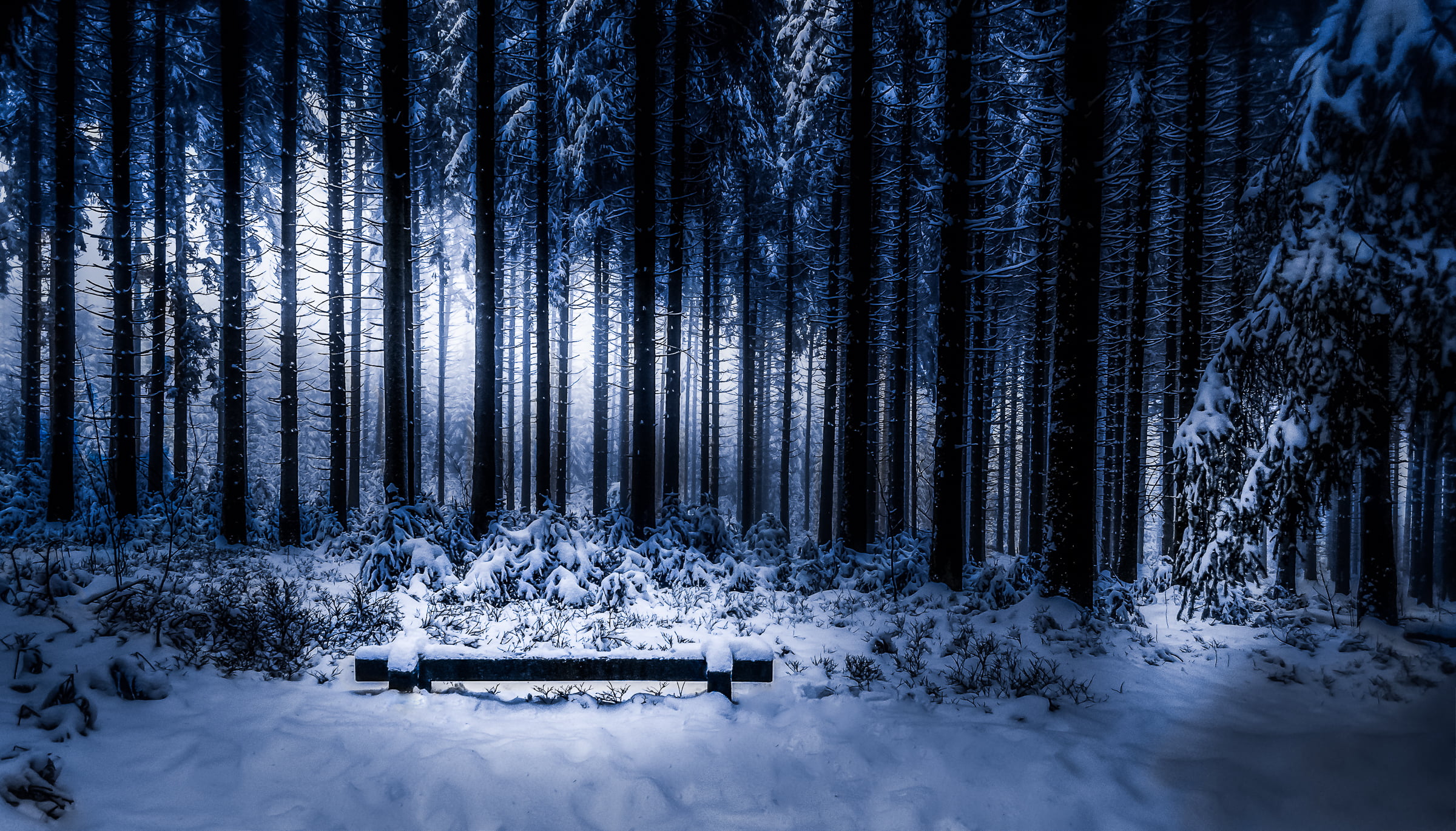 silhouette, nature, scenics, snow, your love, season, warm, outdoors, trees, 1080P, forest, winter, cold, Landscape, cold - Temperature, tree, woodland, HD Wallpaper