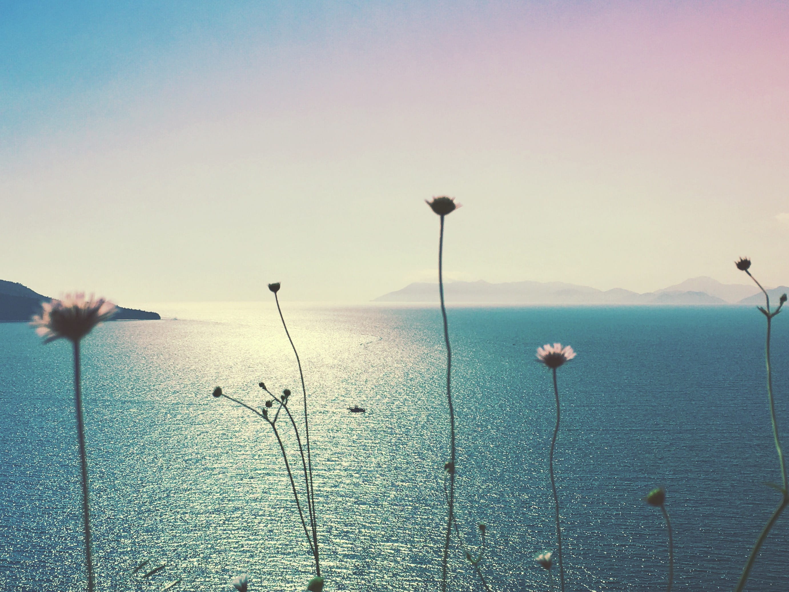 landscape, fethiye, outdoors, 2K, plant stem, tranquil scene, tranquility, turkey, idyllic, sea, non-urban scene, copy space, scenics - nature, nature, HD Wallpaper