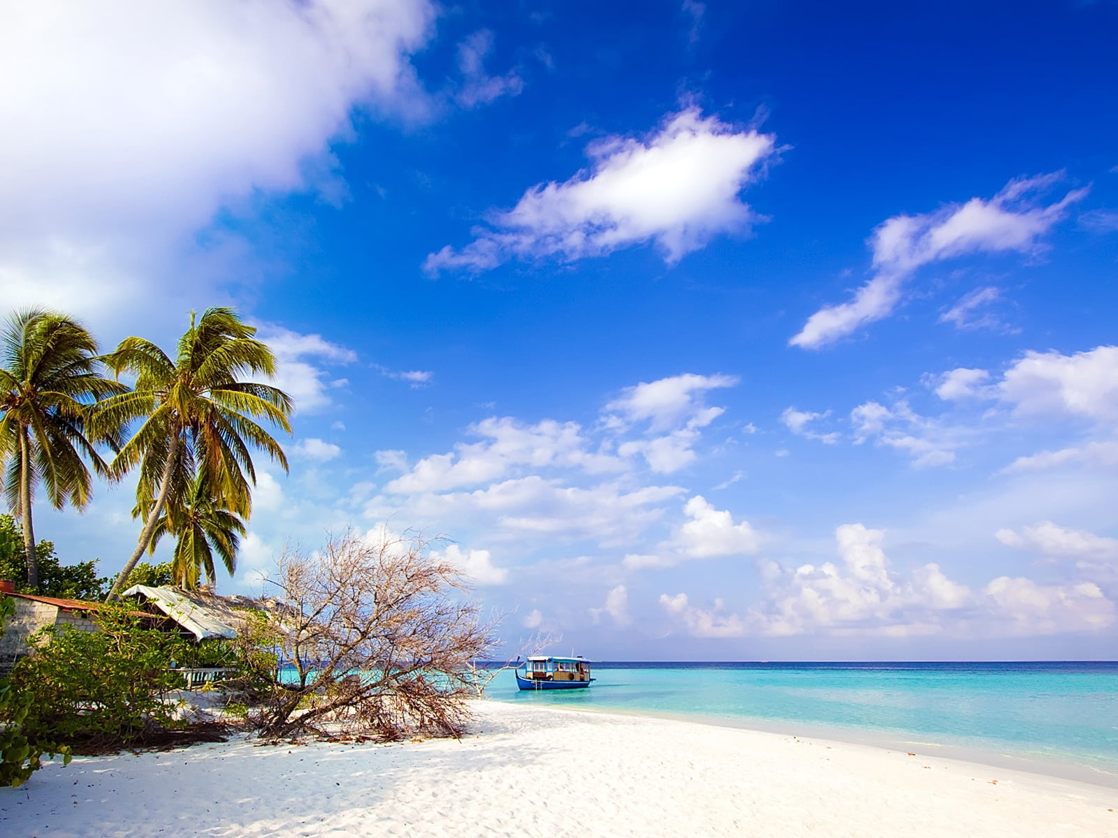 holiday, tranquil scene, coconut palm tree, tropical climate, beachside, sea, turquoise colored, tree, scenics - nature, transportation, park, tropical tree, HD Wallpaper