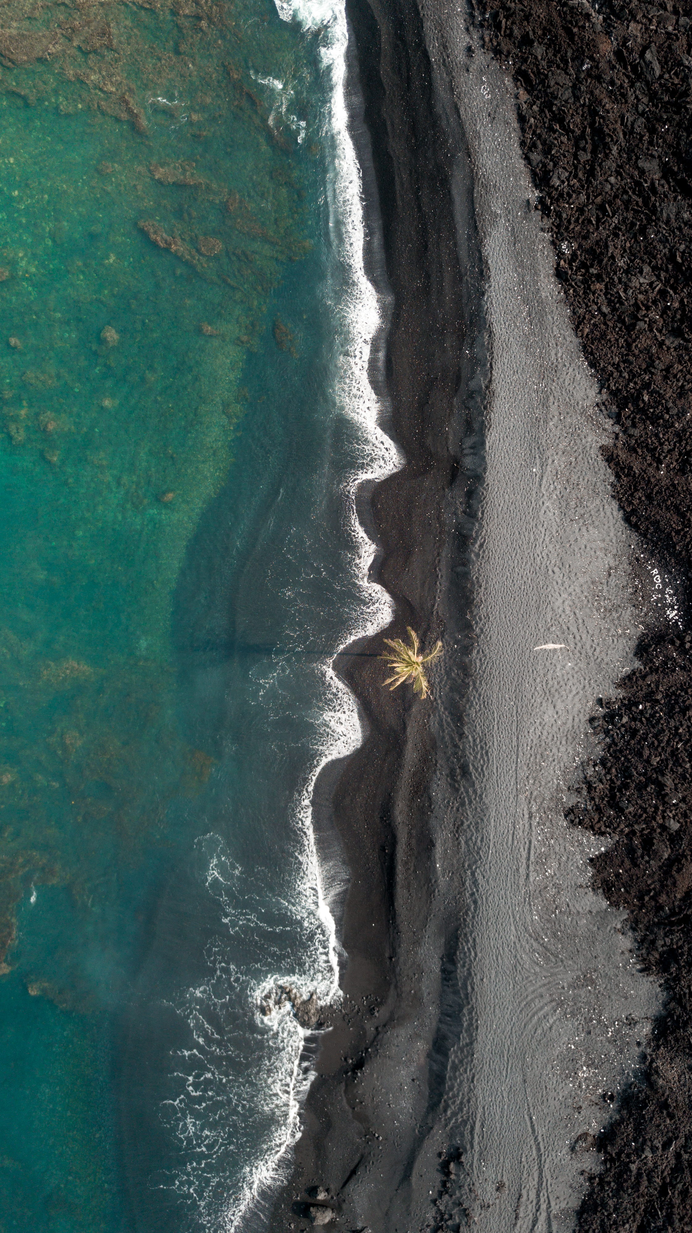 beachside, sea shore, bird, aquatic sport, ocean, land, drone view, coastal, blue, photography, motion, sunlight, black sand, sand, water, tranquility, Phone HD Wallpaper