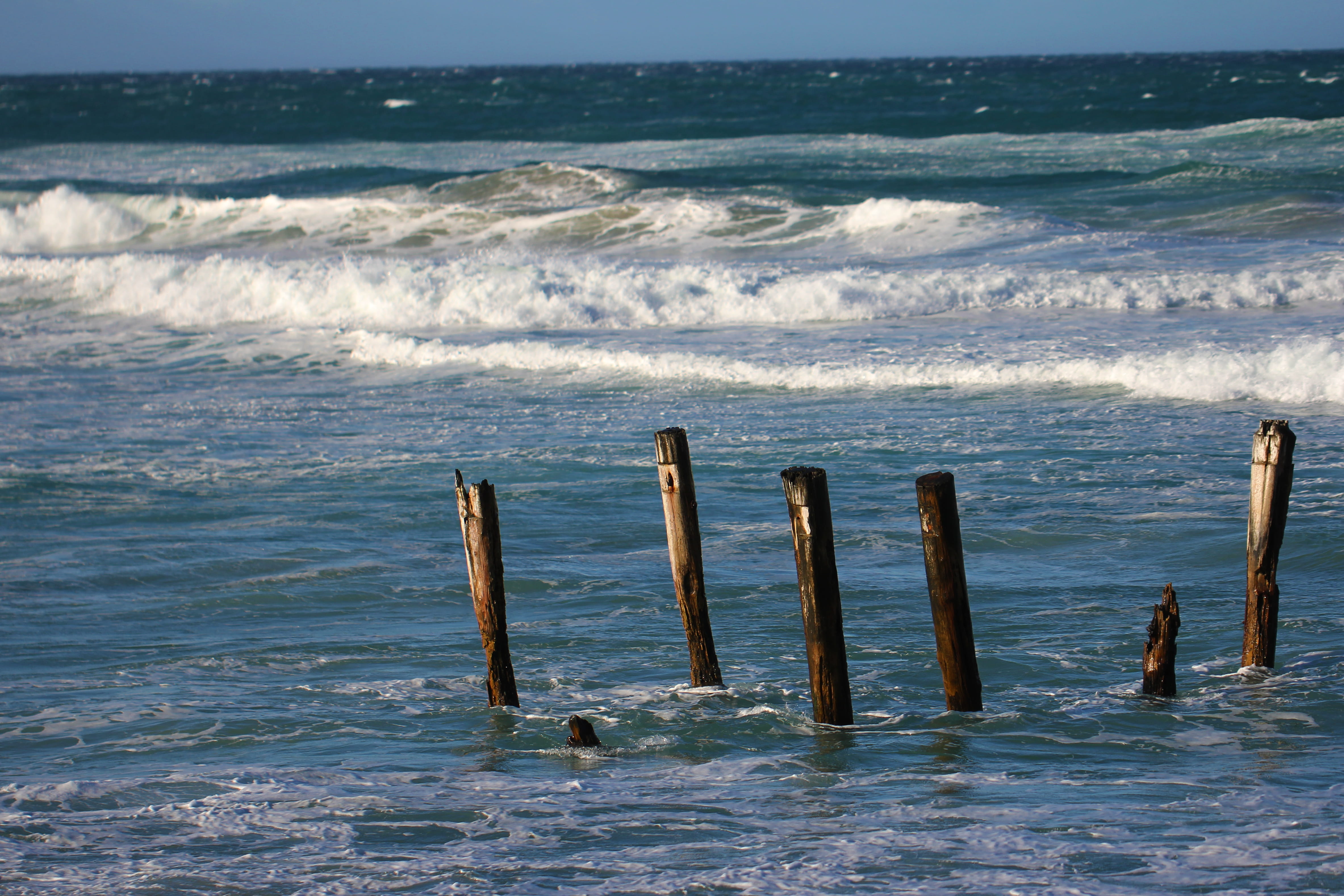 waves, rugged, horizon, wooden post, beauty in nature, new zealand, environment, day, blue, sea, wave, seashore, water, dom, nature, outdoors, horizon over water, HD Wallpaper