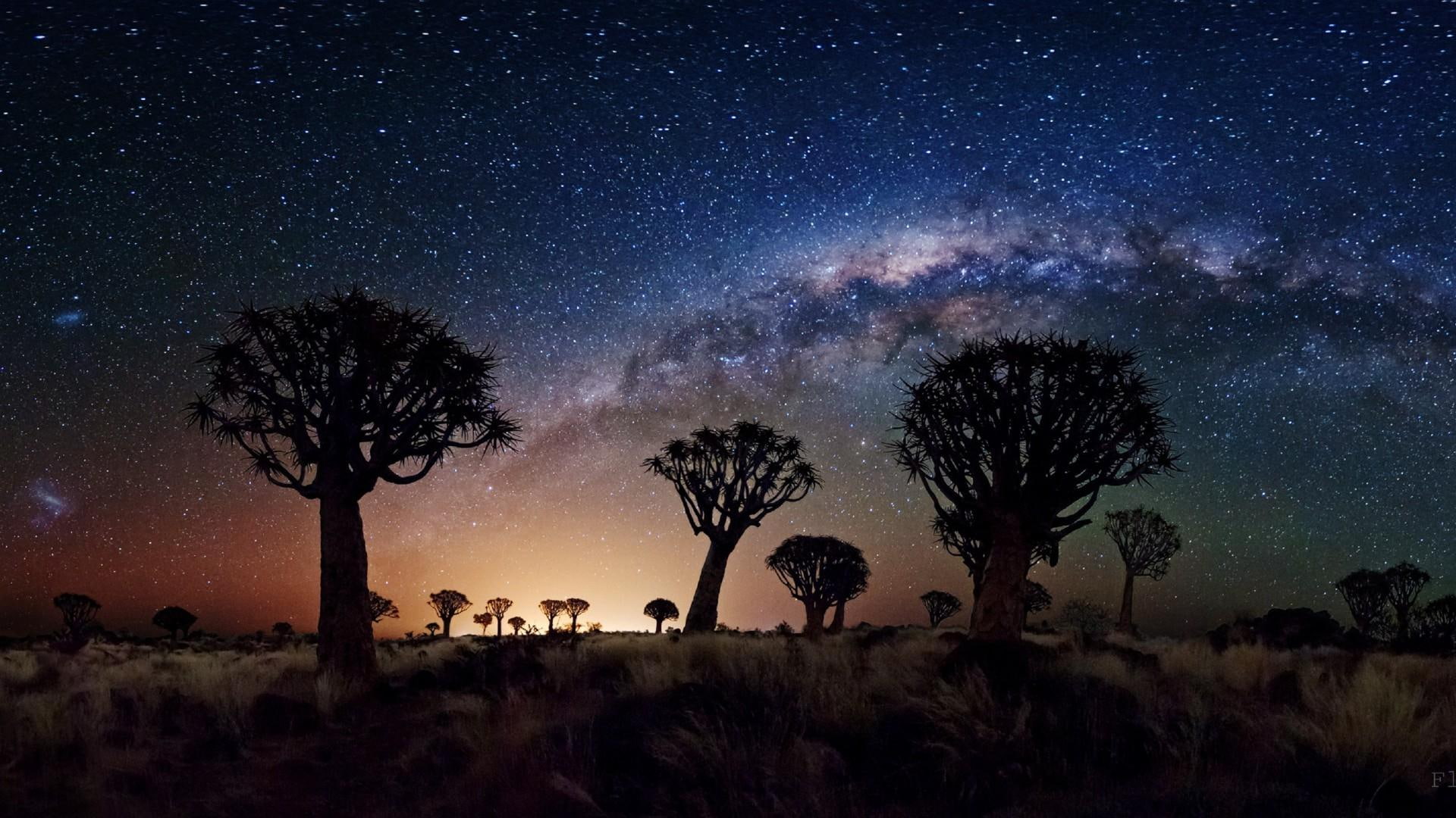 nature, magic, sunset, baobab, cosmos, universe, galaxy, beauty, night, 1080P, background, milky way, desert, astronomy, HD Wallpaper