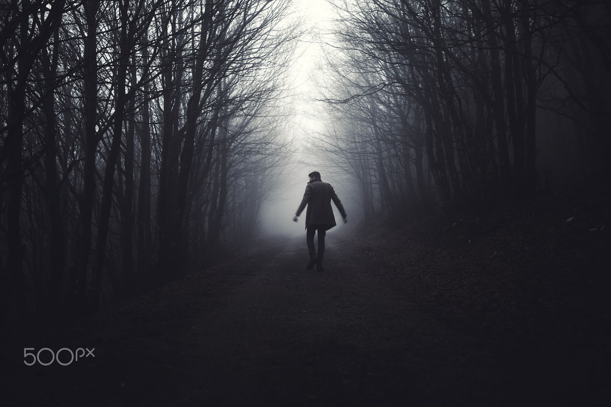leisure activity, land, tree, monochrome, outdoors, warm clothing, lifestyles, fog, the way forward, walking, road, 500px, rear view, tranquility, direction, HD Wallpaper
