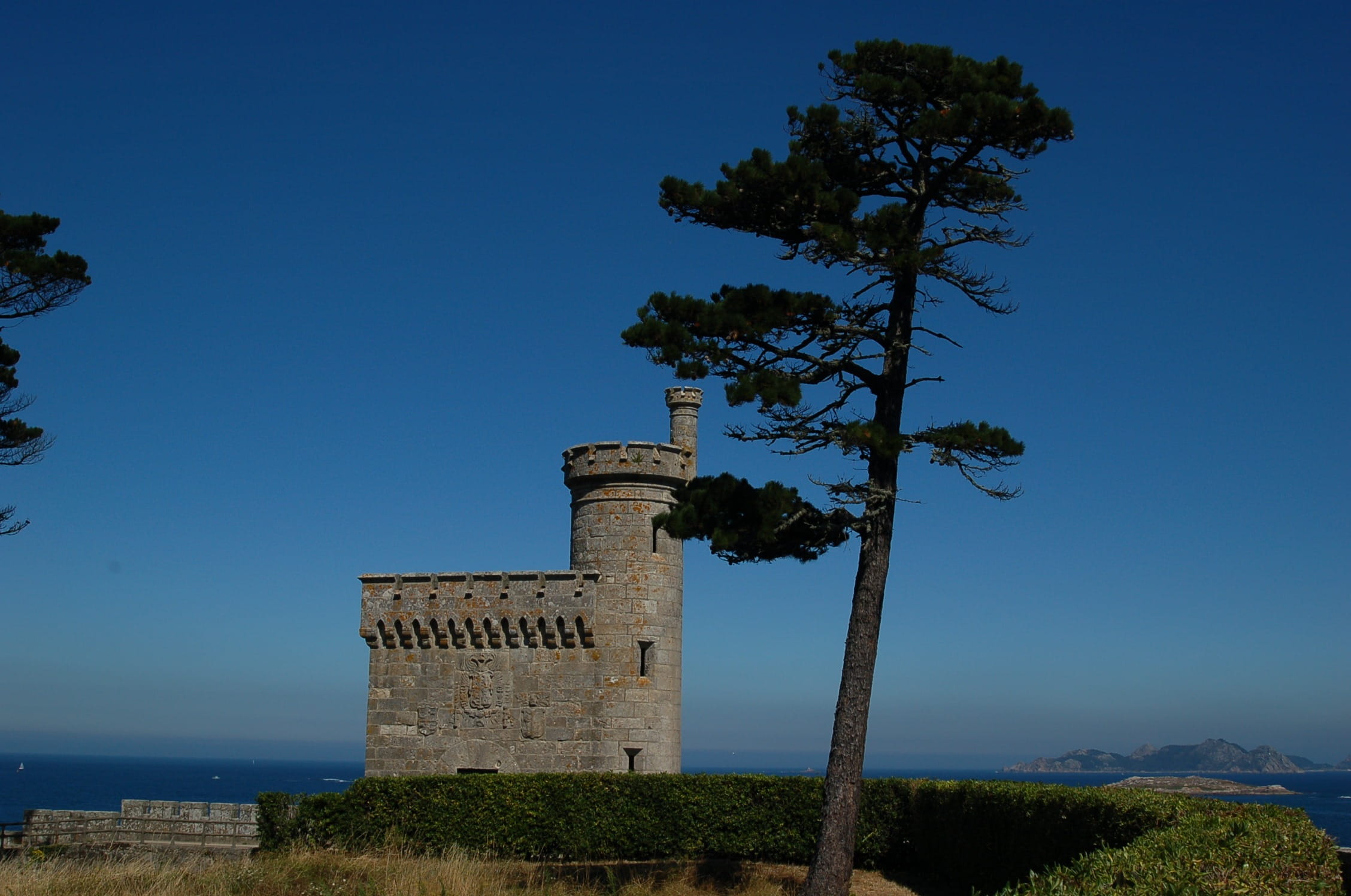 ancient, Tree, blue, clear sky, history, pine, torreon, the past, tower, Castle, Galicia, architecture, tourism, day, landscape, Baiona, building, outdoors, HD Wallpaper