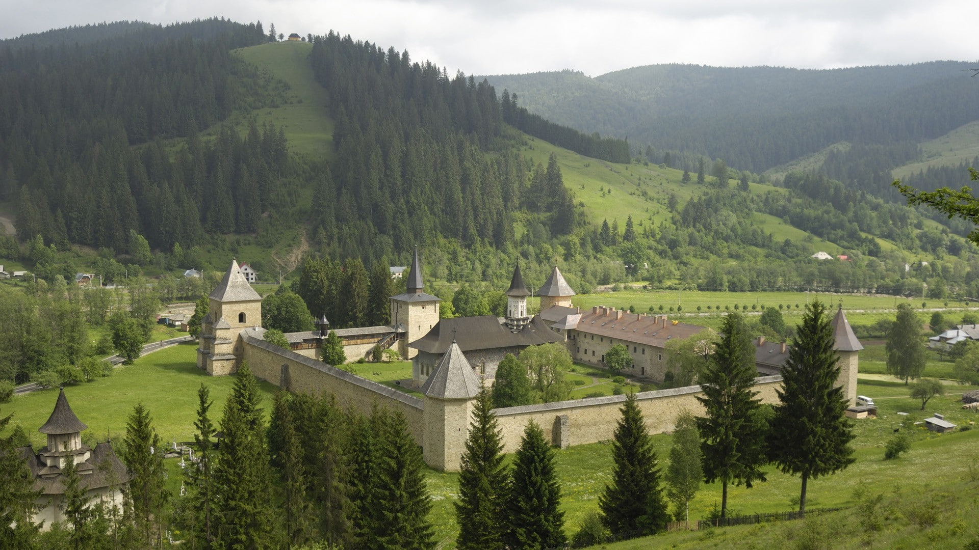 nature landscape architecture castle ancient tower trees romania fortress forest hills pine trees house road, house, no people, scenics - nature, built structure, HD Wallpaper