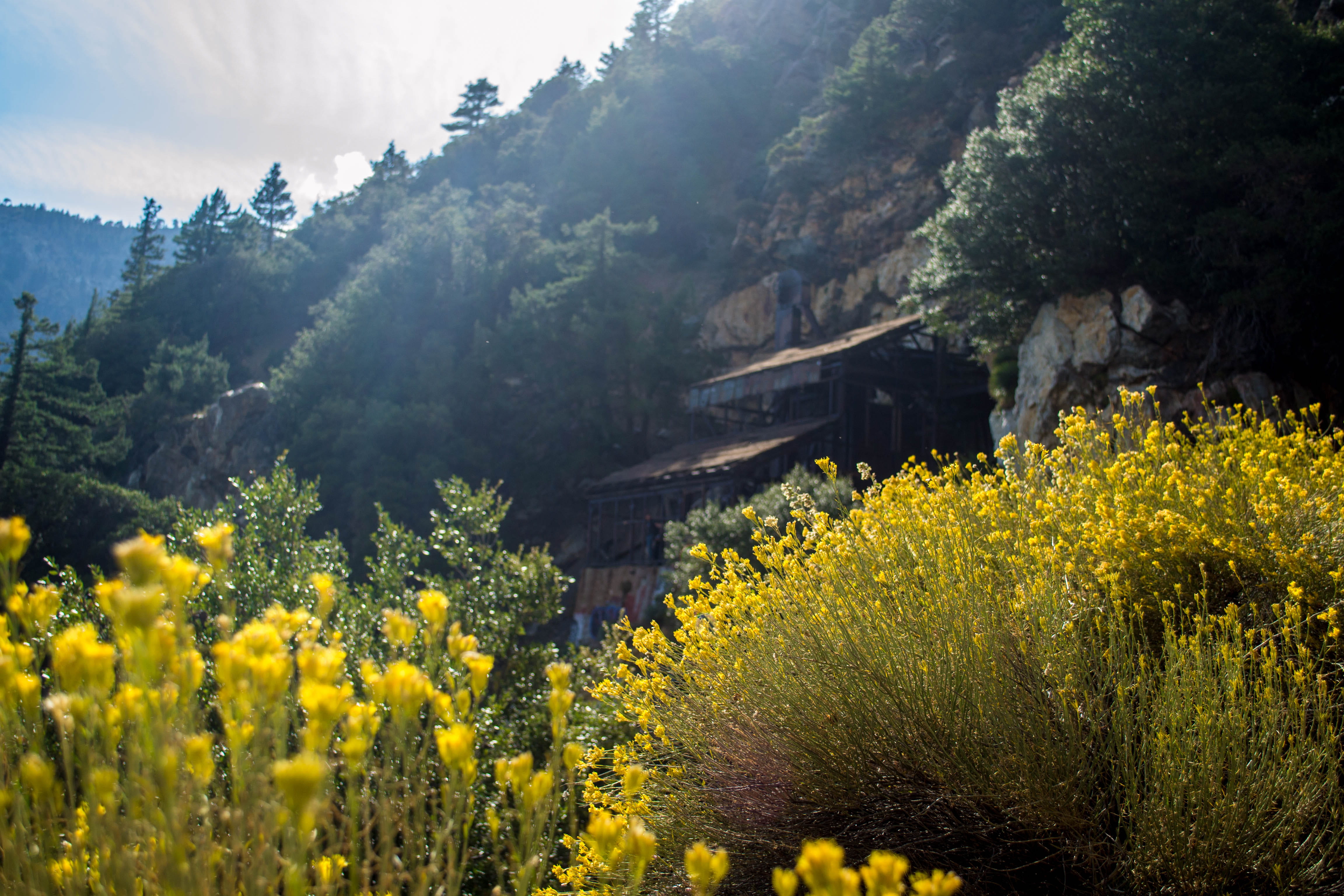 adventure, building exterior, flowering plant, color, architecture, antique, ancient, mine, mountain, growth, pine, rock, beauty in nature, no people, day, HD Wallpaper