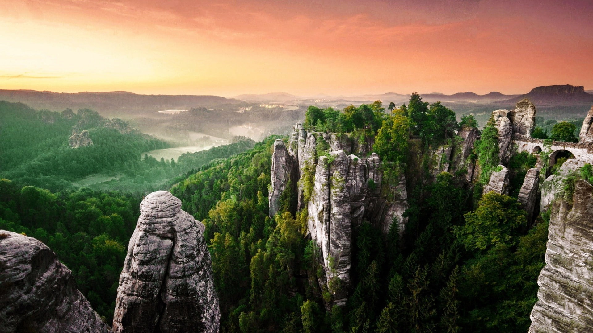 coniferous tree, tranquility, pine woodland, mountain, ancient civilization, nature landscape rock forest, fog, pine tree, tourism, the past, plant, beauty in nature, HD Wallpaper