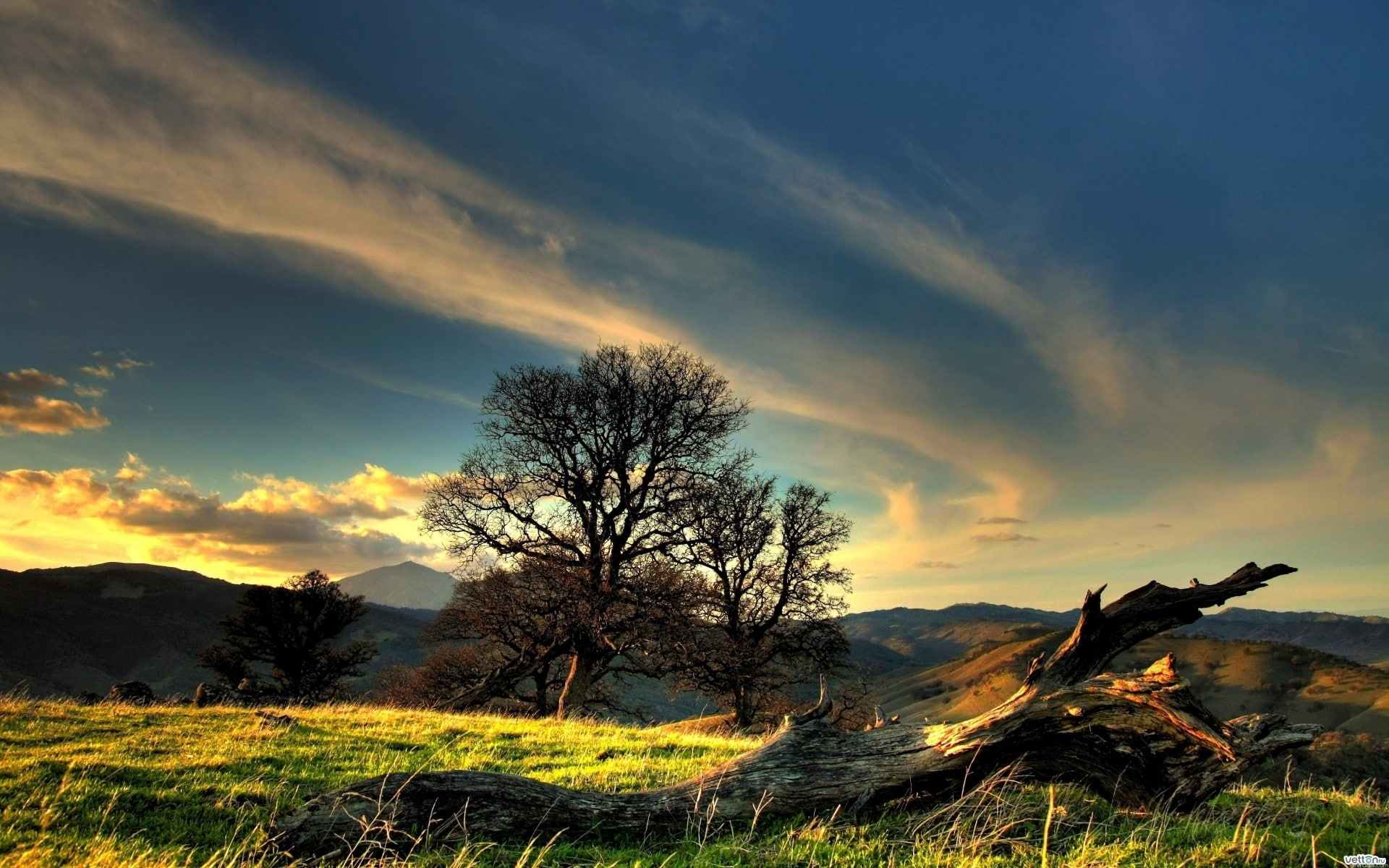 bare tree, mountain, field, plant, sunlight, cloud - sky, silhouette, trees, scenics - nature, tranquil scene, environment, no people, beauty in nature, HD Wallpaper
