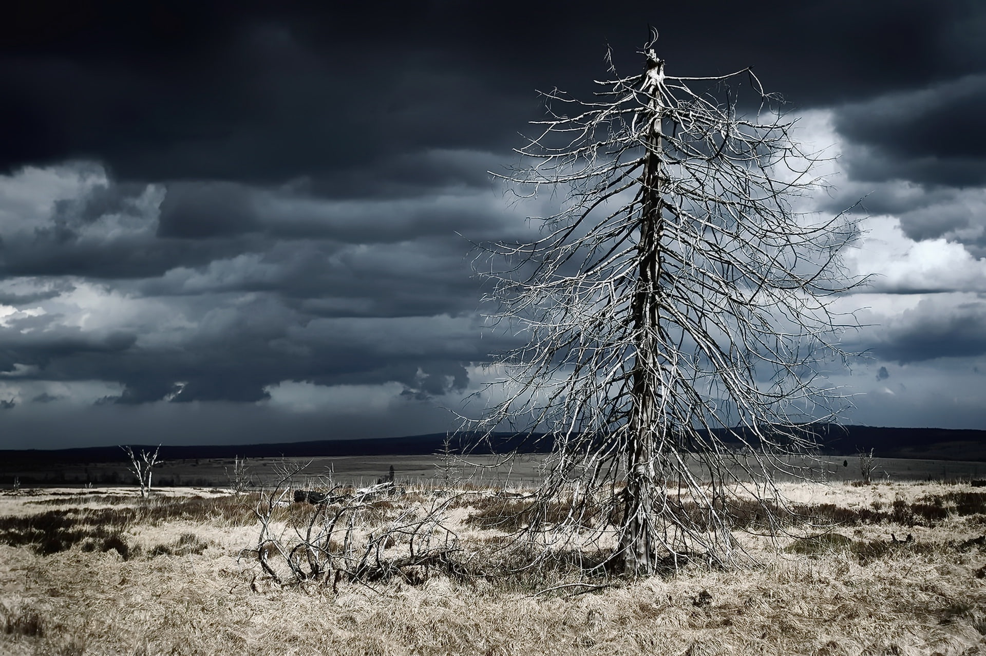 environment, non-urban scene, scenics - nature, 1080P, storm cloud, ominous, dark, storm, landscape, field, no people, nature, sky, tranquility, plant, HD Wallpaper
