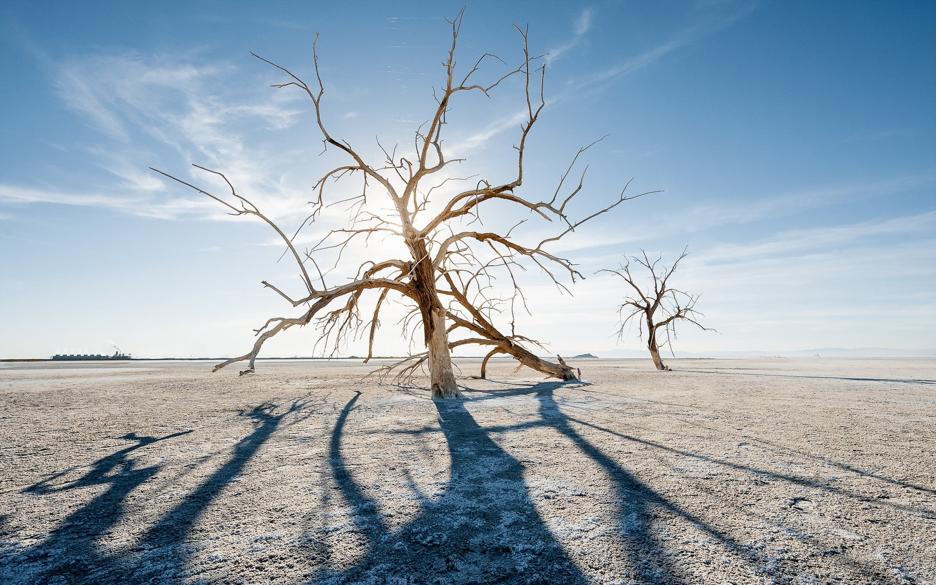 no people, cold temperature, tree, 1080P, winter, land, snow, landscape, bare tree, beauty in nature, sunlight, tranquil scene, day, trees, dead plant, HD Wallpaper