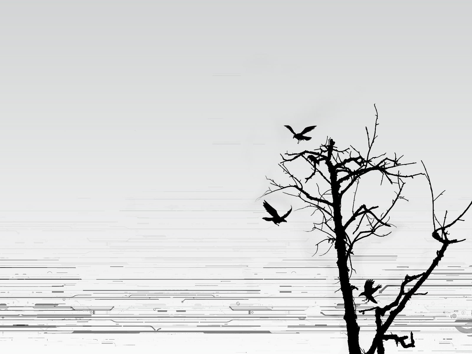 animal wildlife, branch, group of animals, dead plant, bird, tranquil scene, outdoors, no people, animal, birds, vertebrate, sky, animal themes, beauty in nature, HD Wallpaper