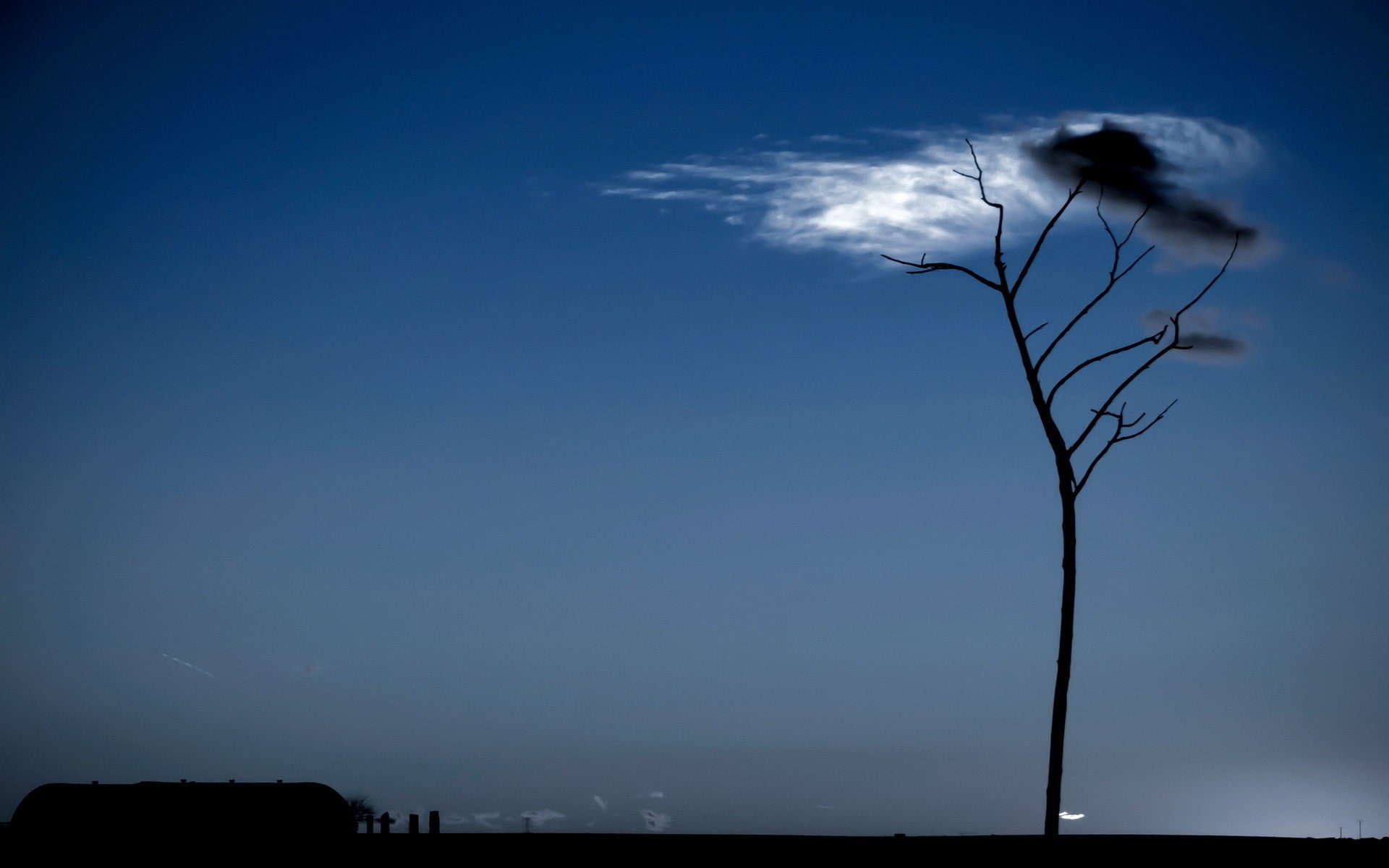 landscape, sky, tranquil scene, tree, tranquility, branch, scenics - nature, low angle view, no people, plant, dead plant, copy space, silhouette, dusk, HD Wallpaper